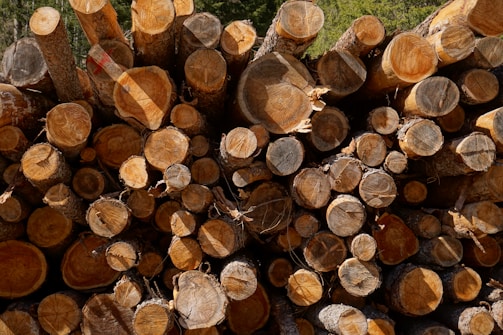A large stack of cut tree logs is piled together, showing various sizes and shapes of the cross-sections. The logs are arranged horizontally, revealing the circular patterns of the rings. The colors range from light brown to dark brown, and the surface of the logs is textured with a natural, rough appearance. The background shows some greenery, possibly indicating a forested area.