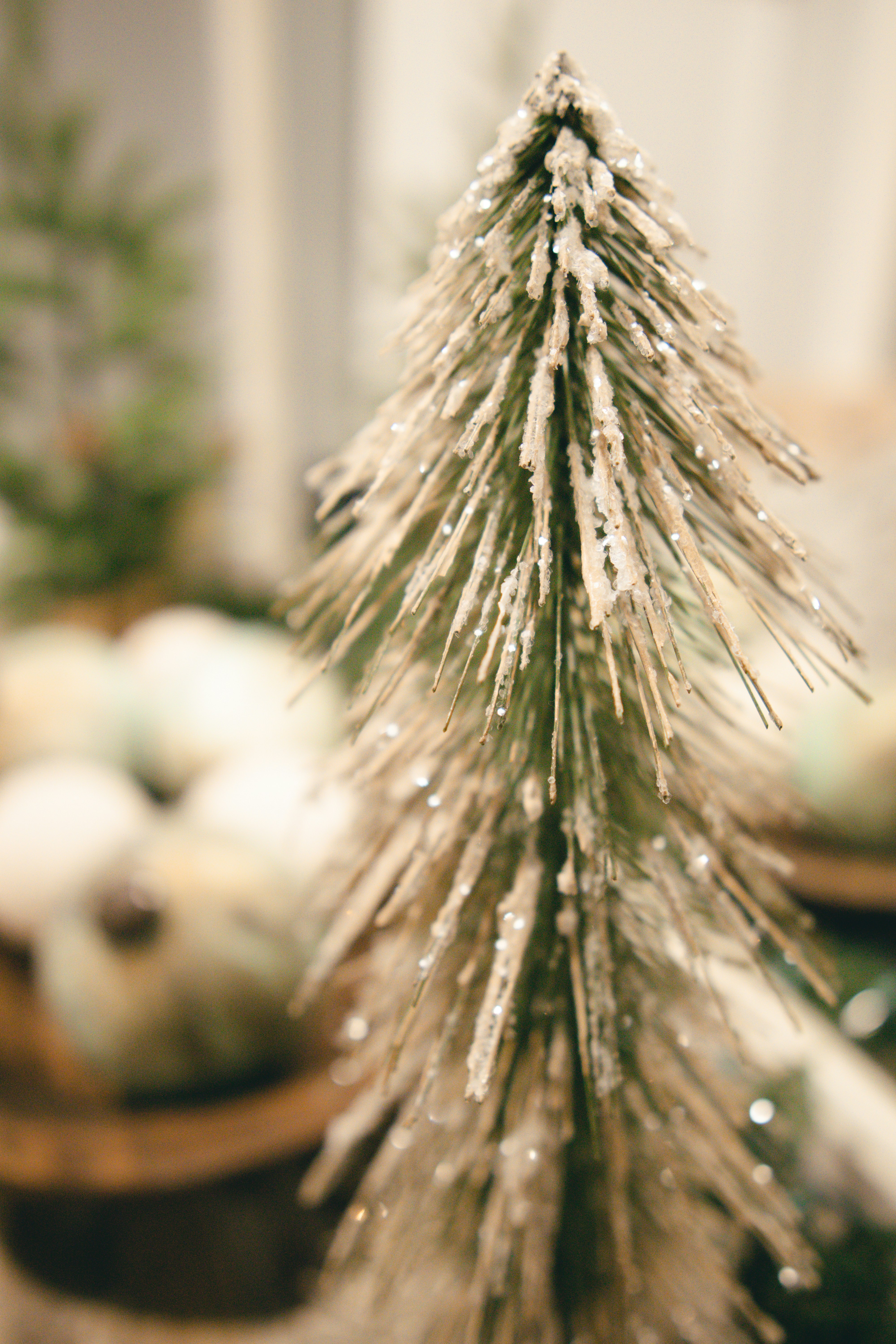 Photo by a_jackie_of_all_trades