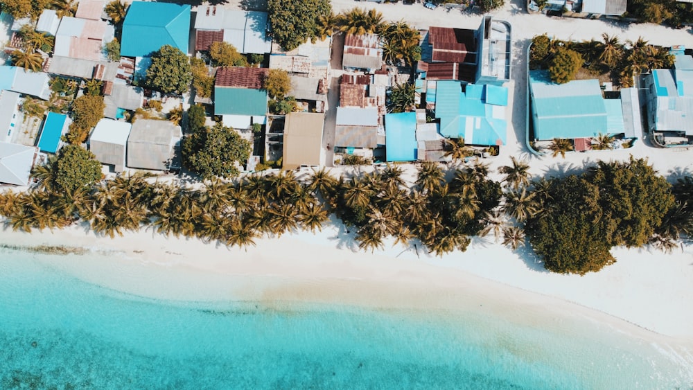 uma vista aérea de uma praia e um resort