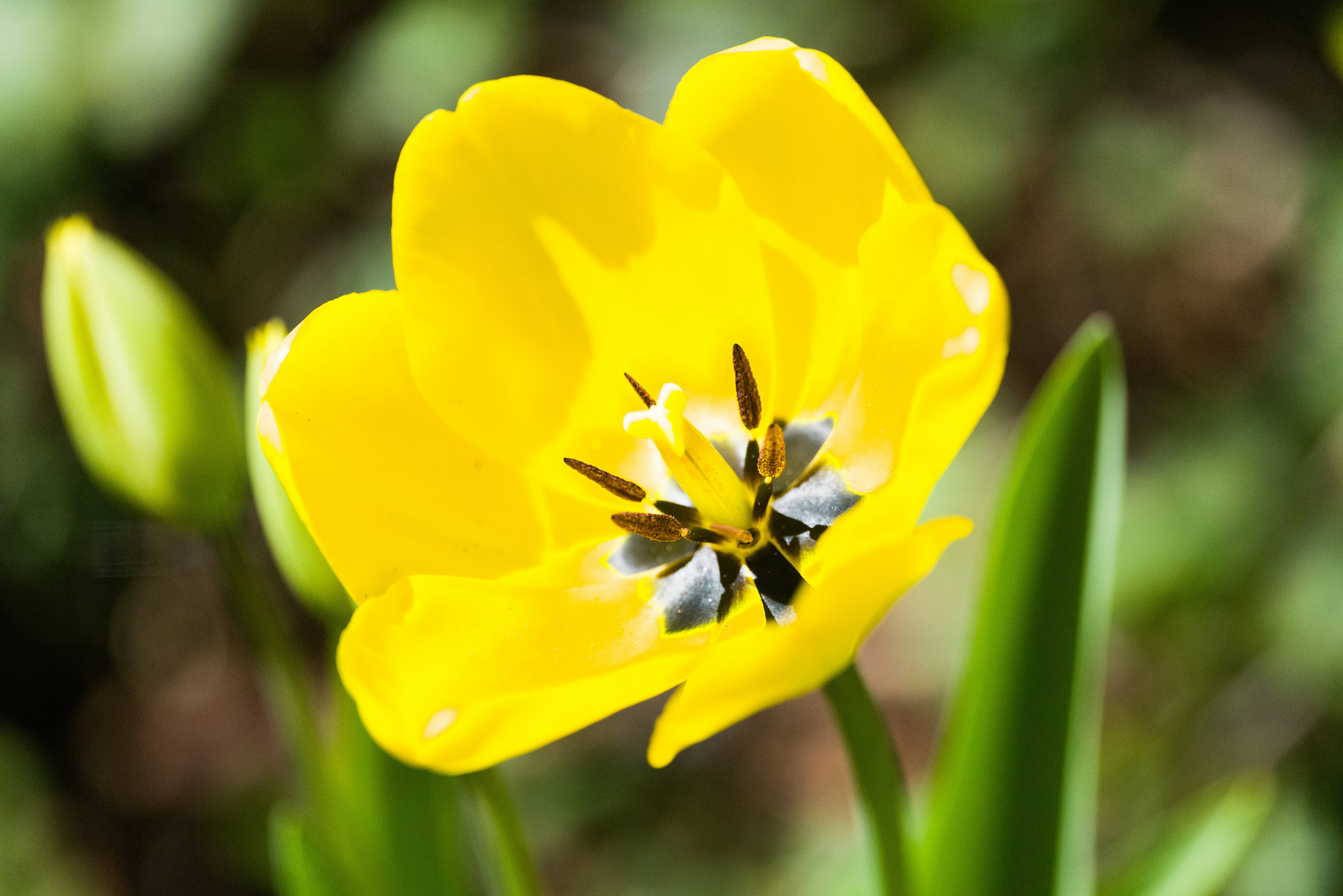 Photo by georgeiermann