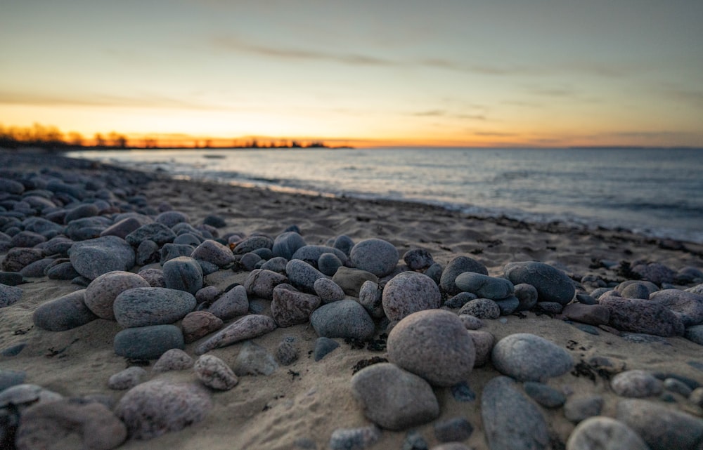 a bunch of rocks that are on a beach