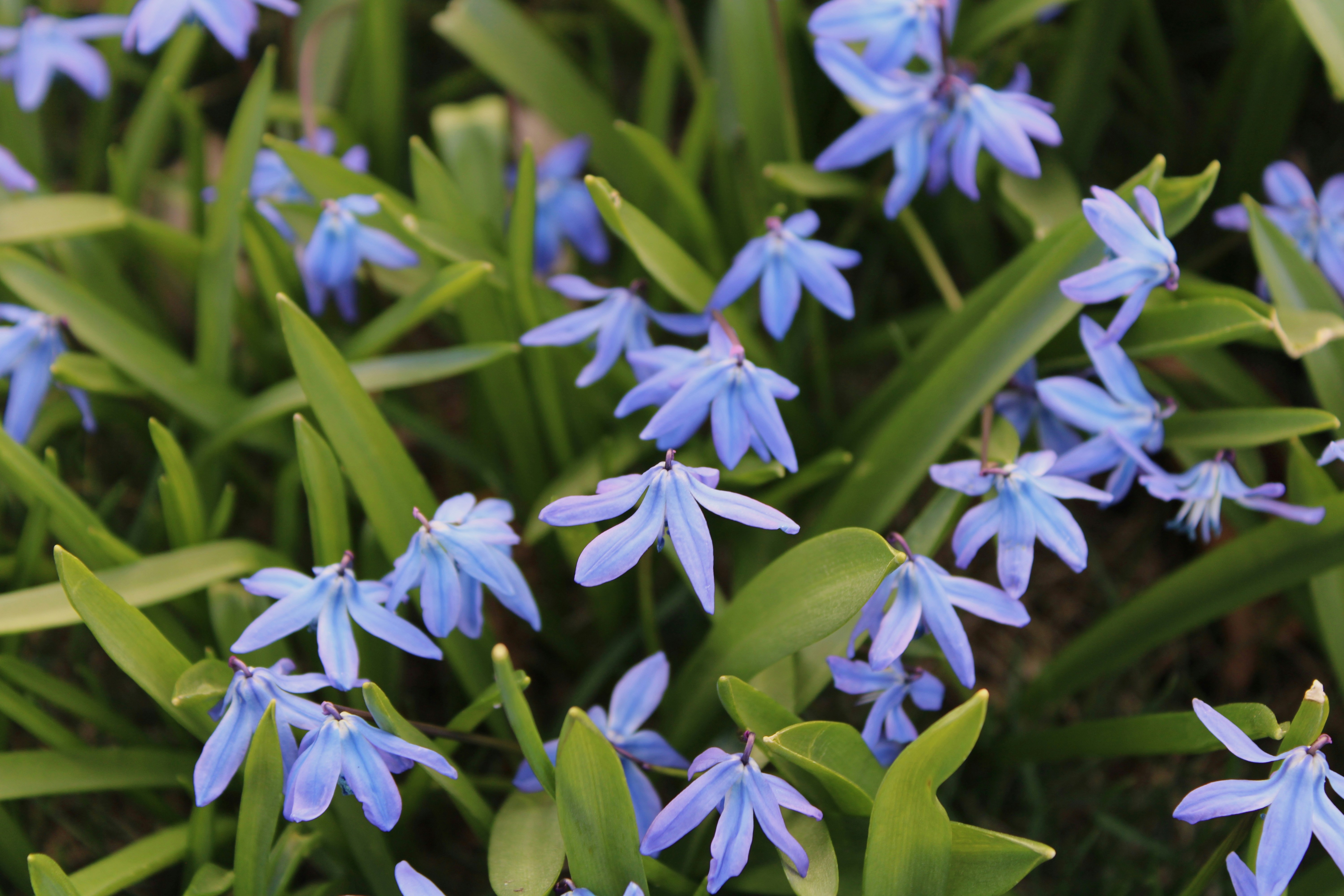 Photo by one23four56