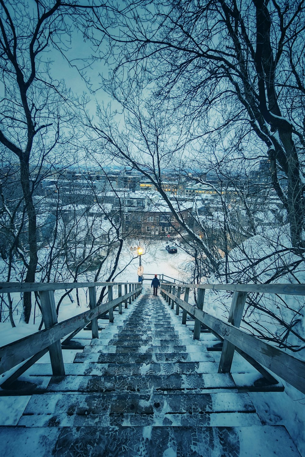 a person walking up a set of stairs in the snow