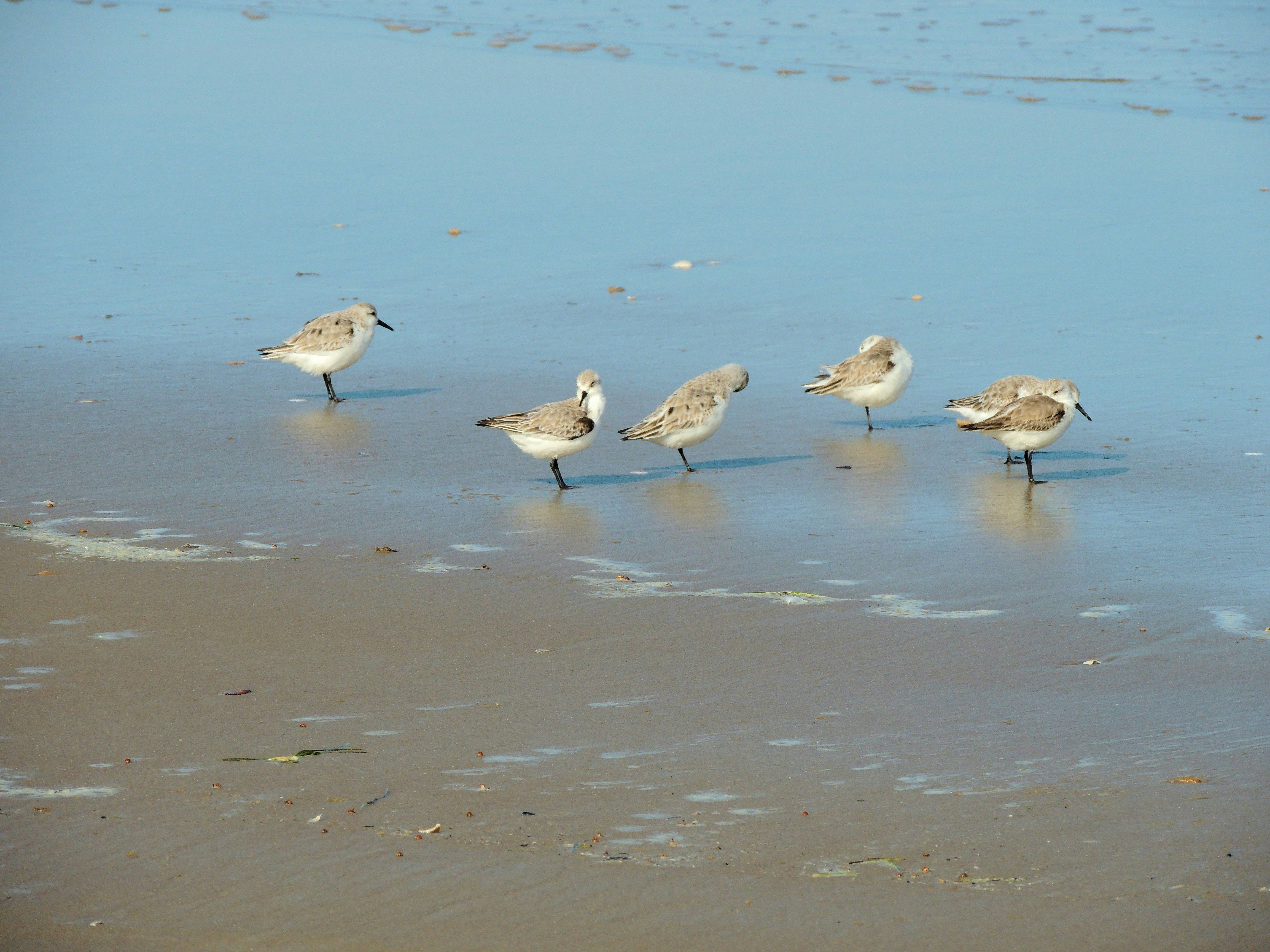 Photo by robertmills