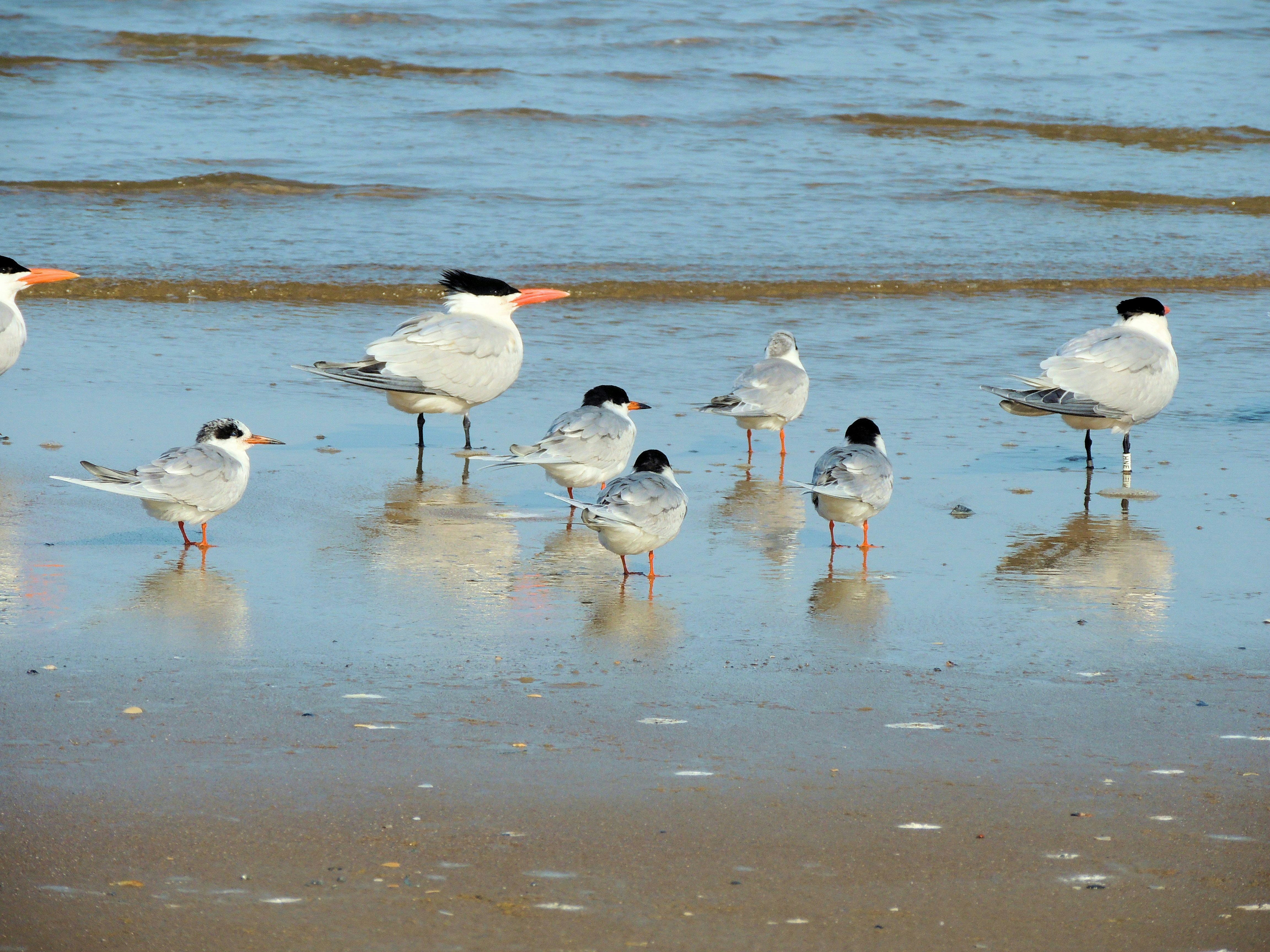 Photo by robertmills