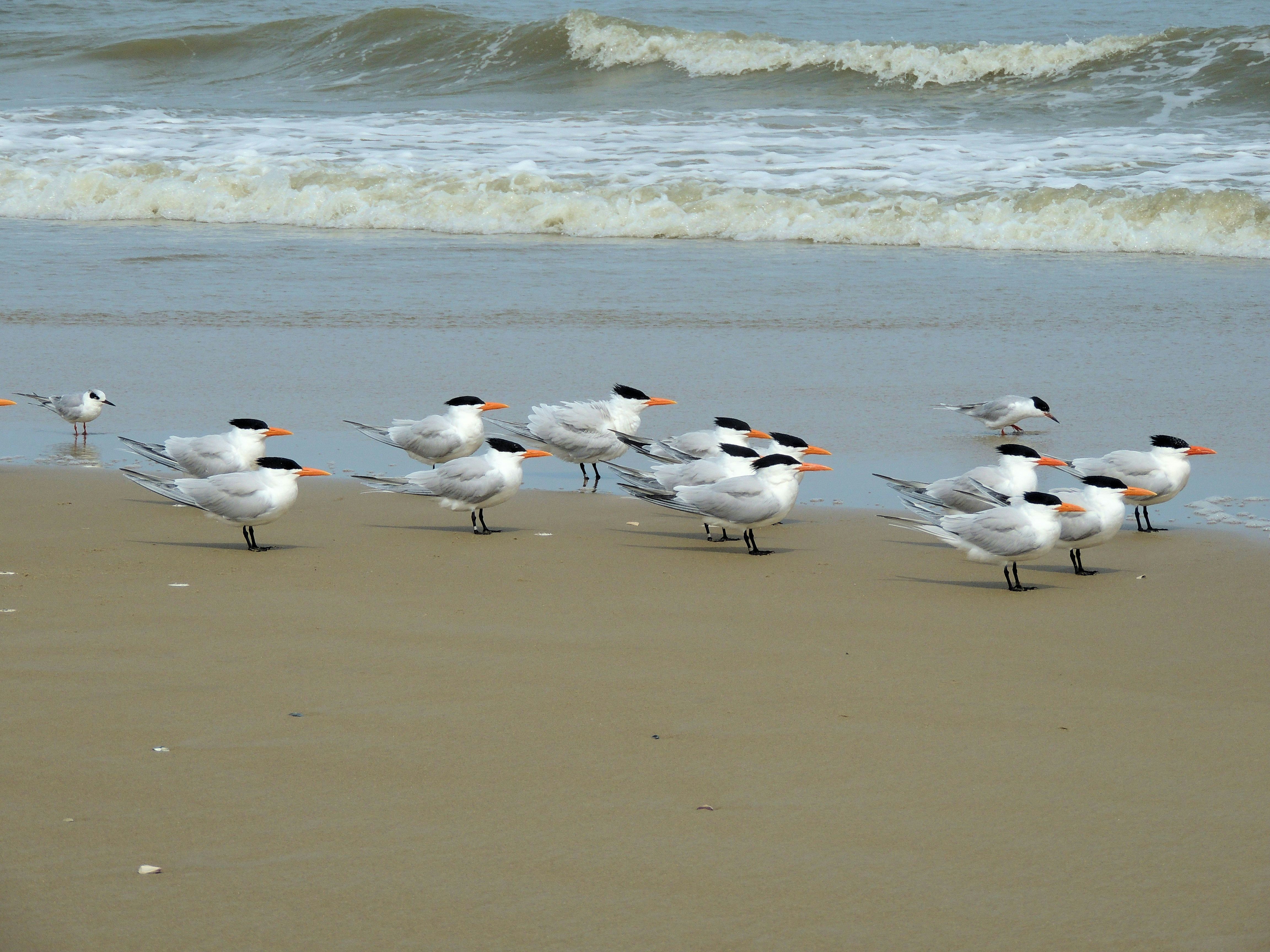 Photo by robertmills