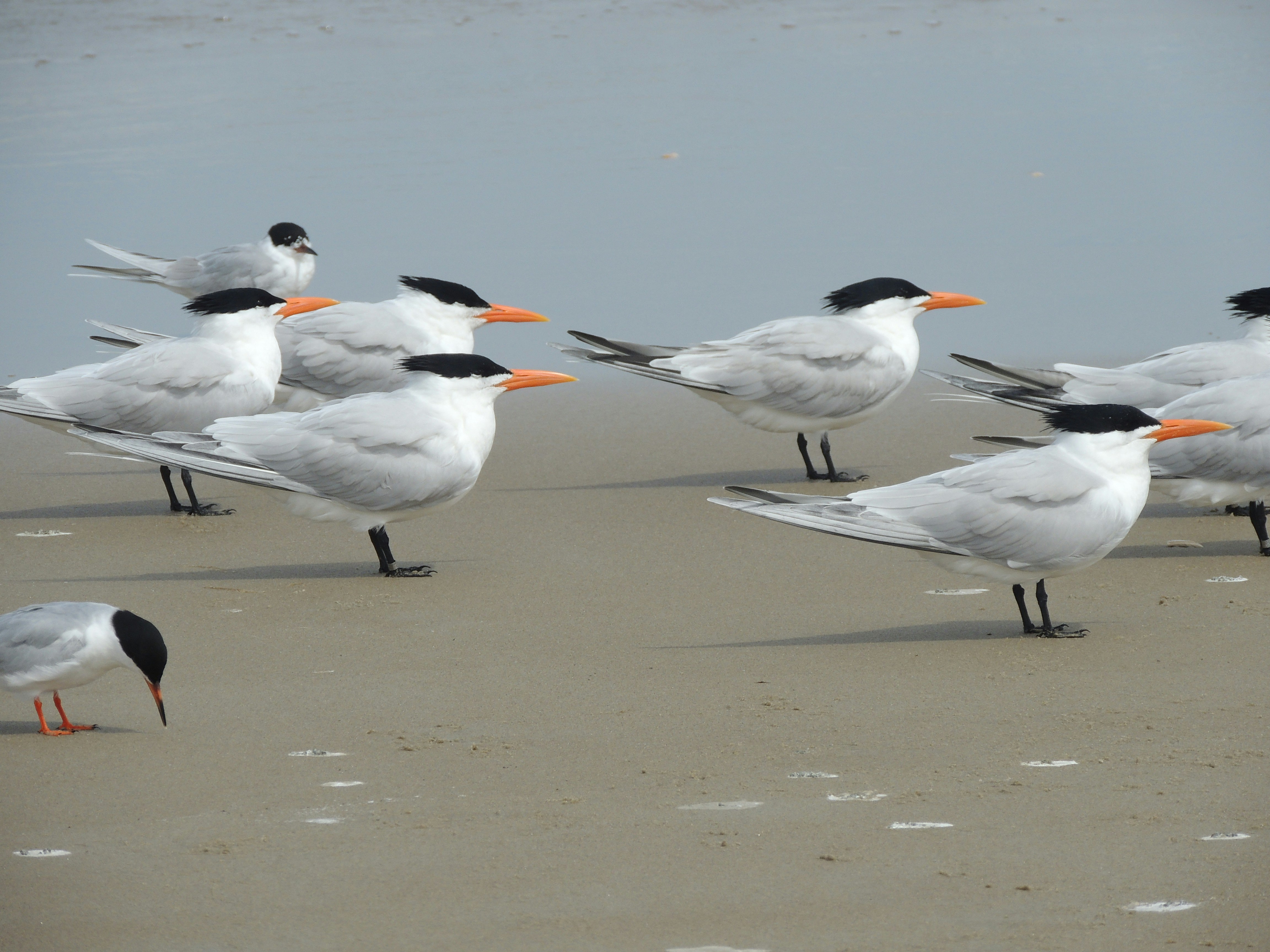 Photo by robertmills