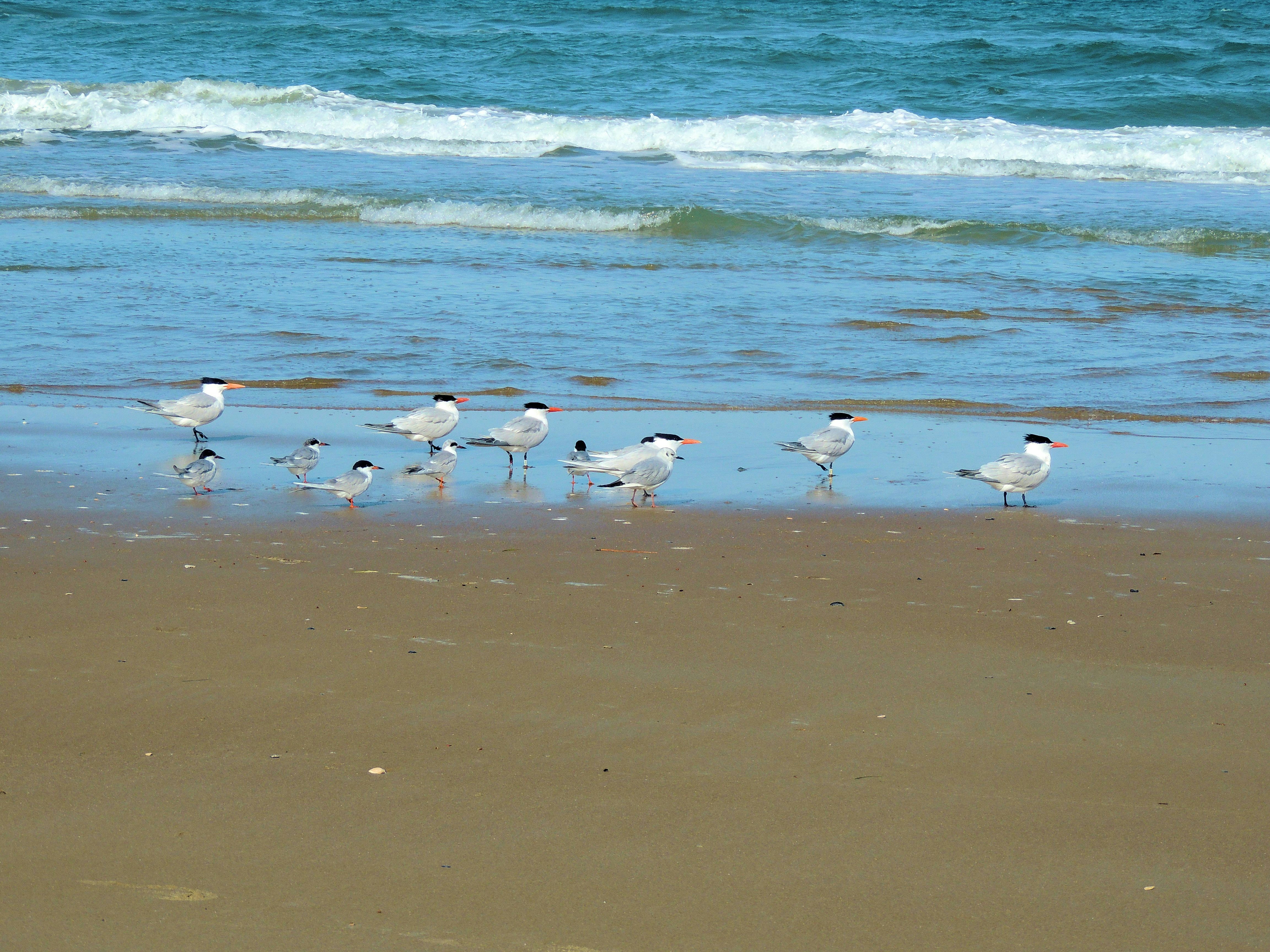 Photo by robertmills