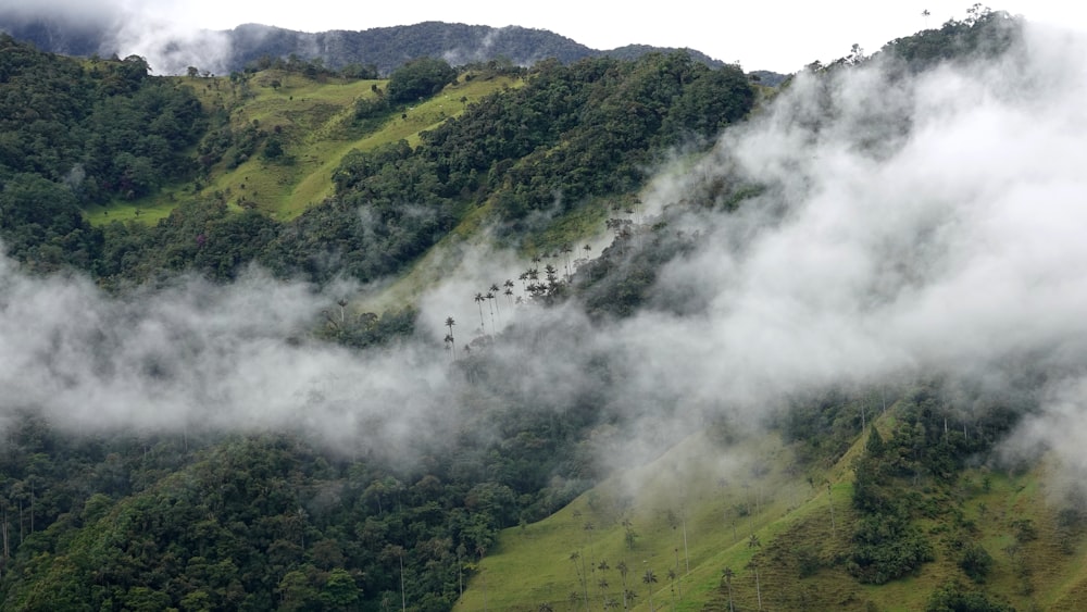 a mountain covered in clouds and trees on a cloudy day