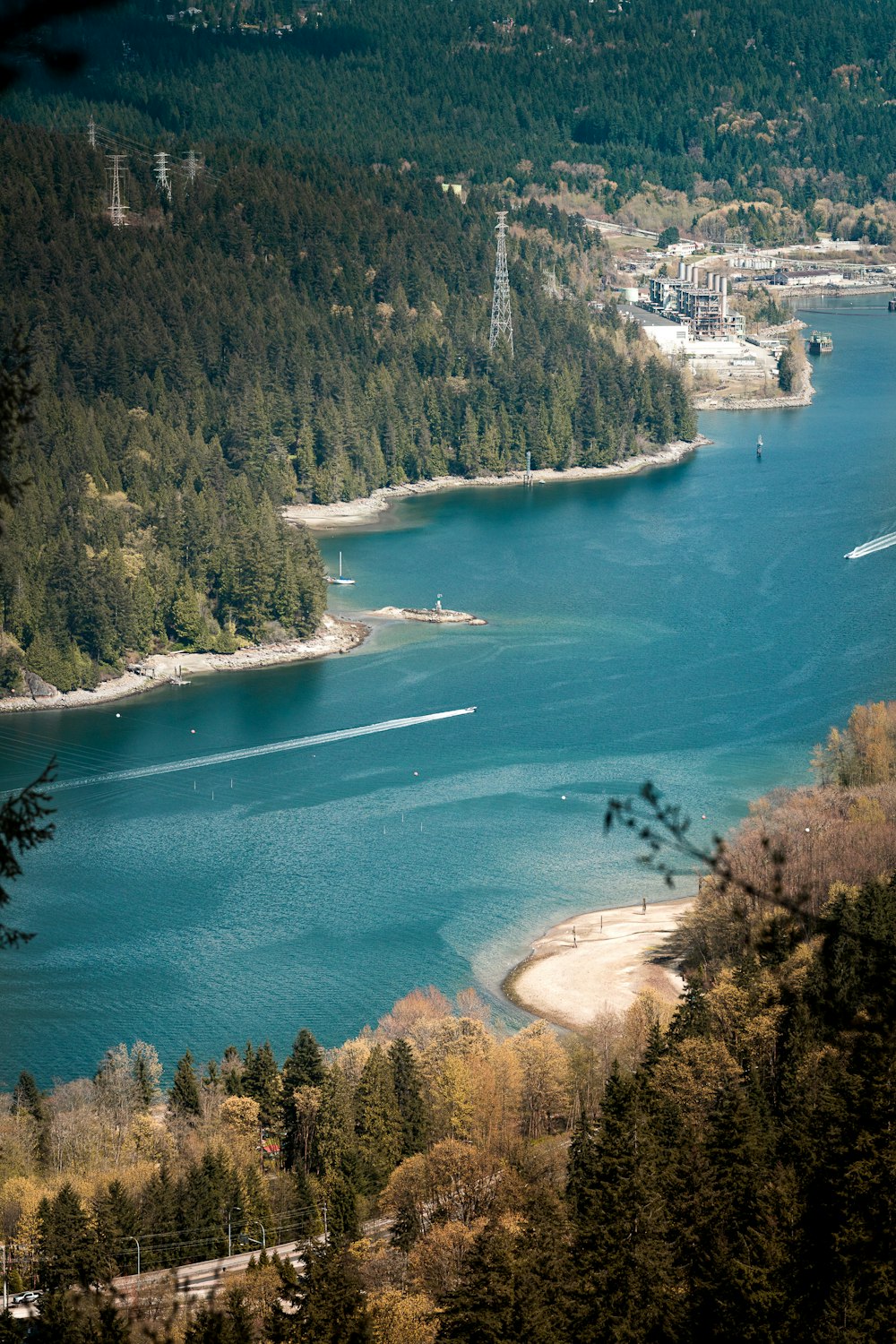 a large body of water surrounded by trees