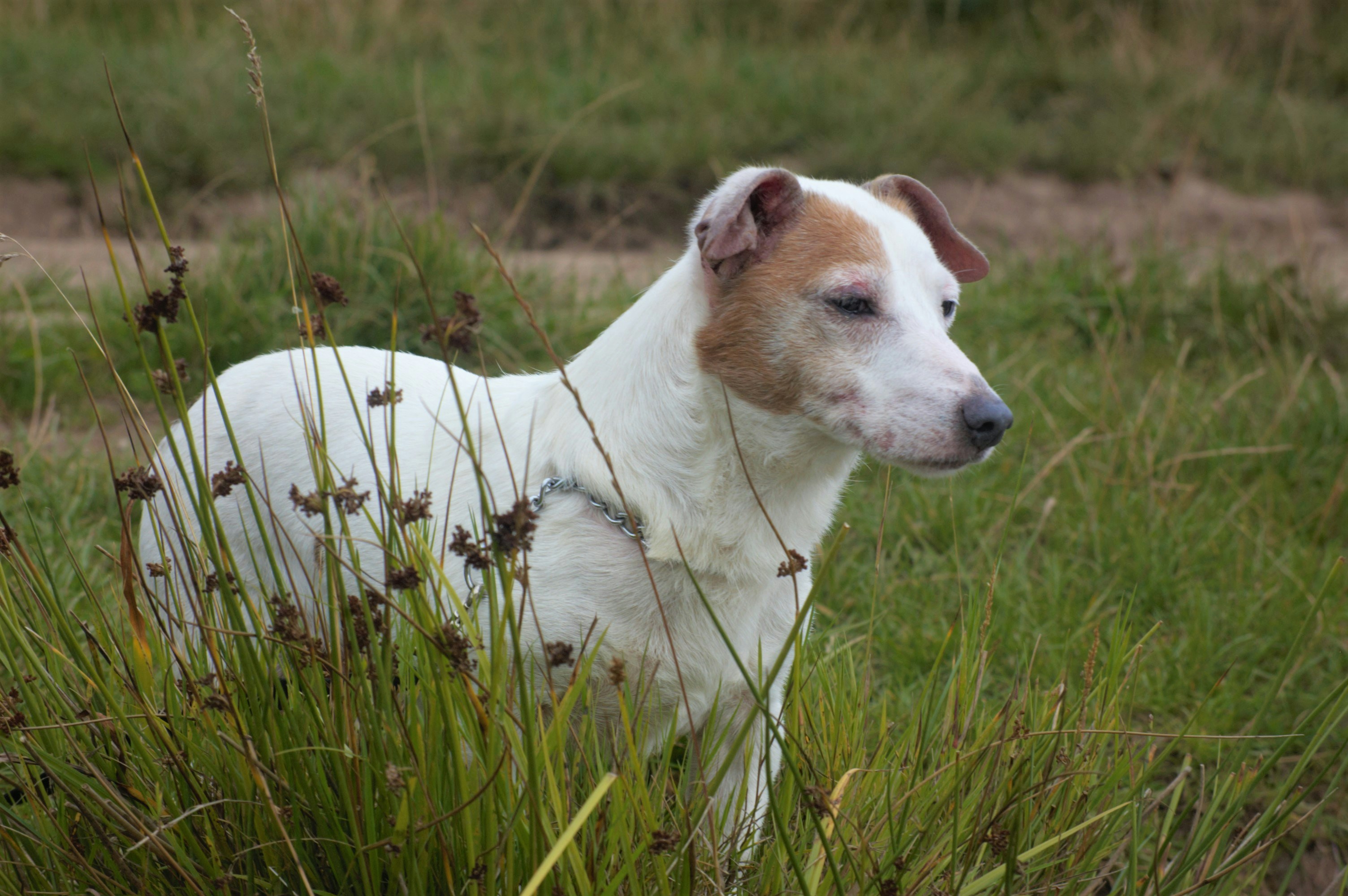 Photo by mattdavies1