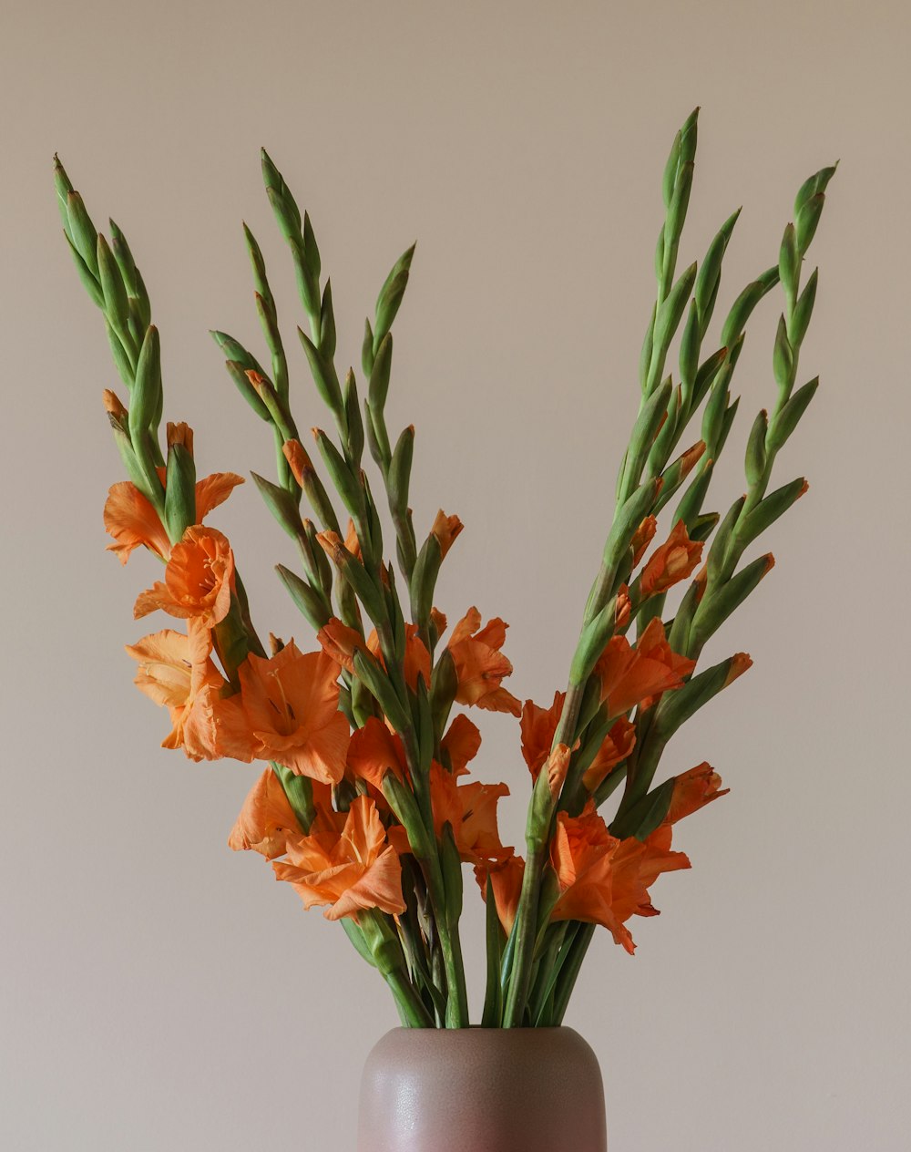 a vase filled with orange flowers on top of a table