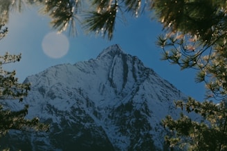 A majestic mountain peak dusted with snow, framed by clear blue skies and pine trees.