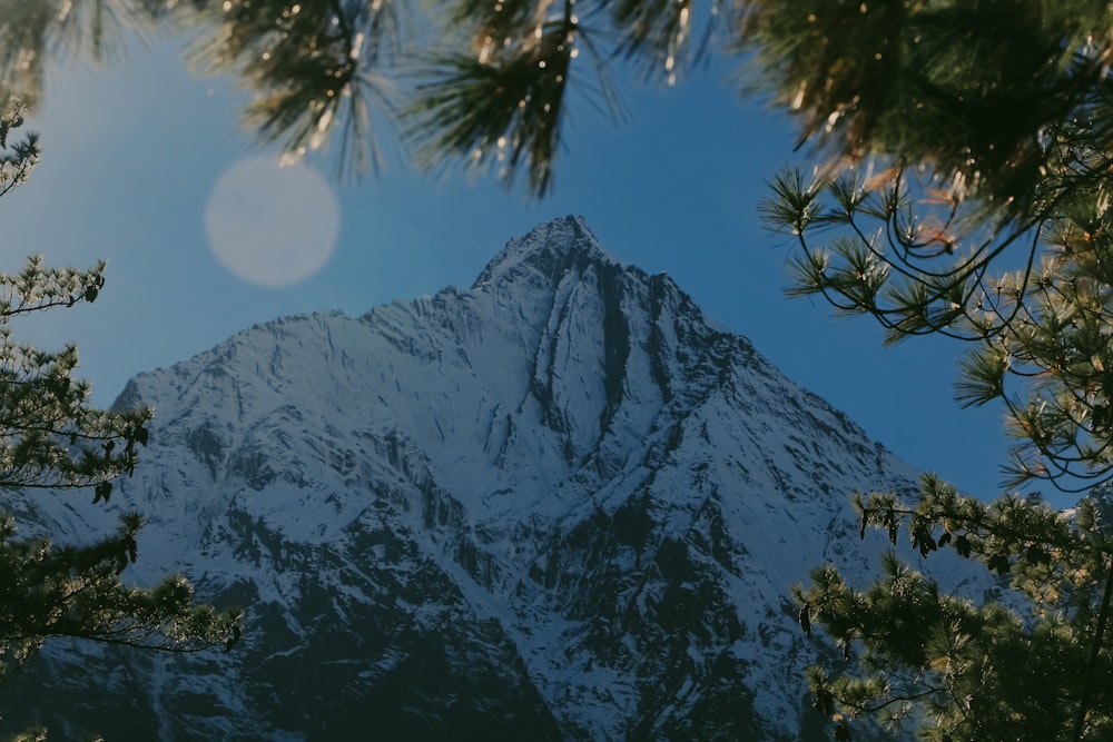 a view of a snow covered mountain through the branches of a pine tree