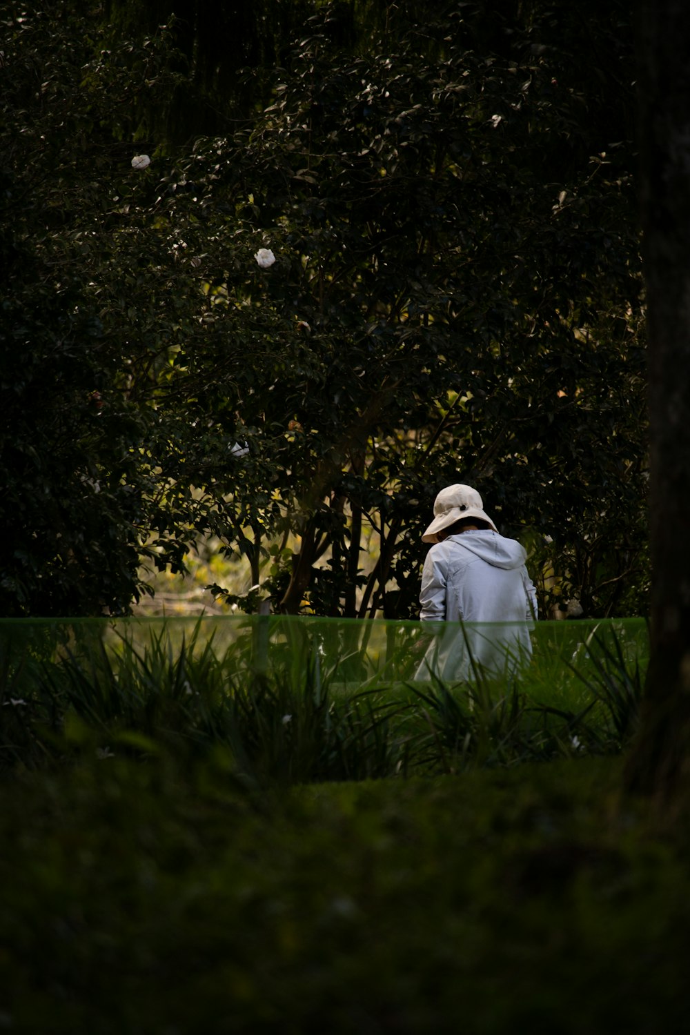 a person sitting in the grass near a tree