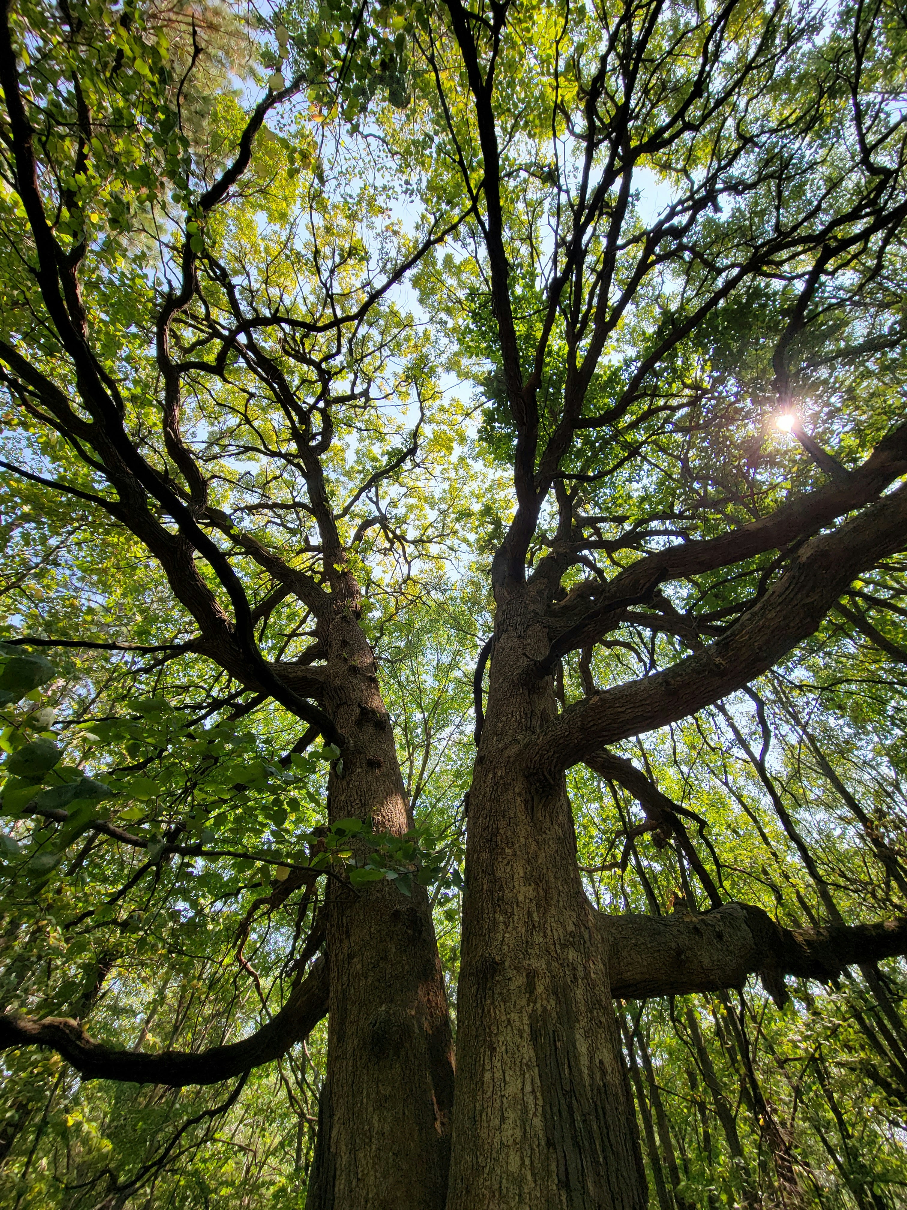 Photo by melissa_beaupre