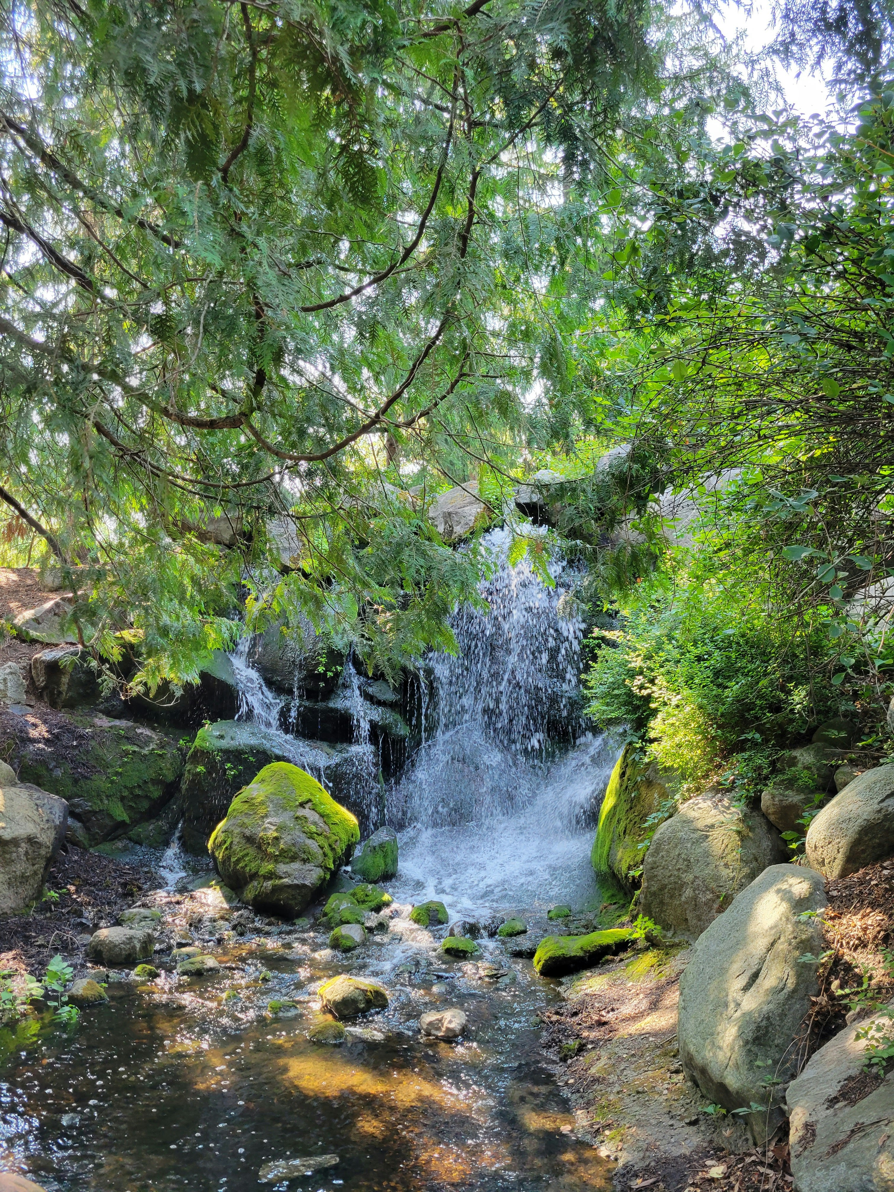 Photo by melissa_beaupre