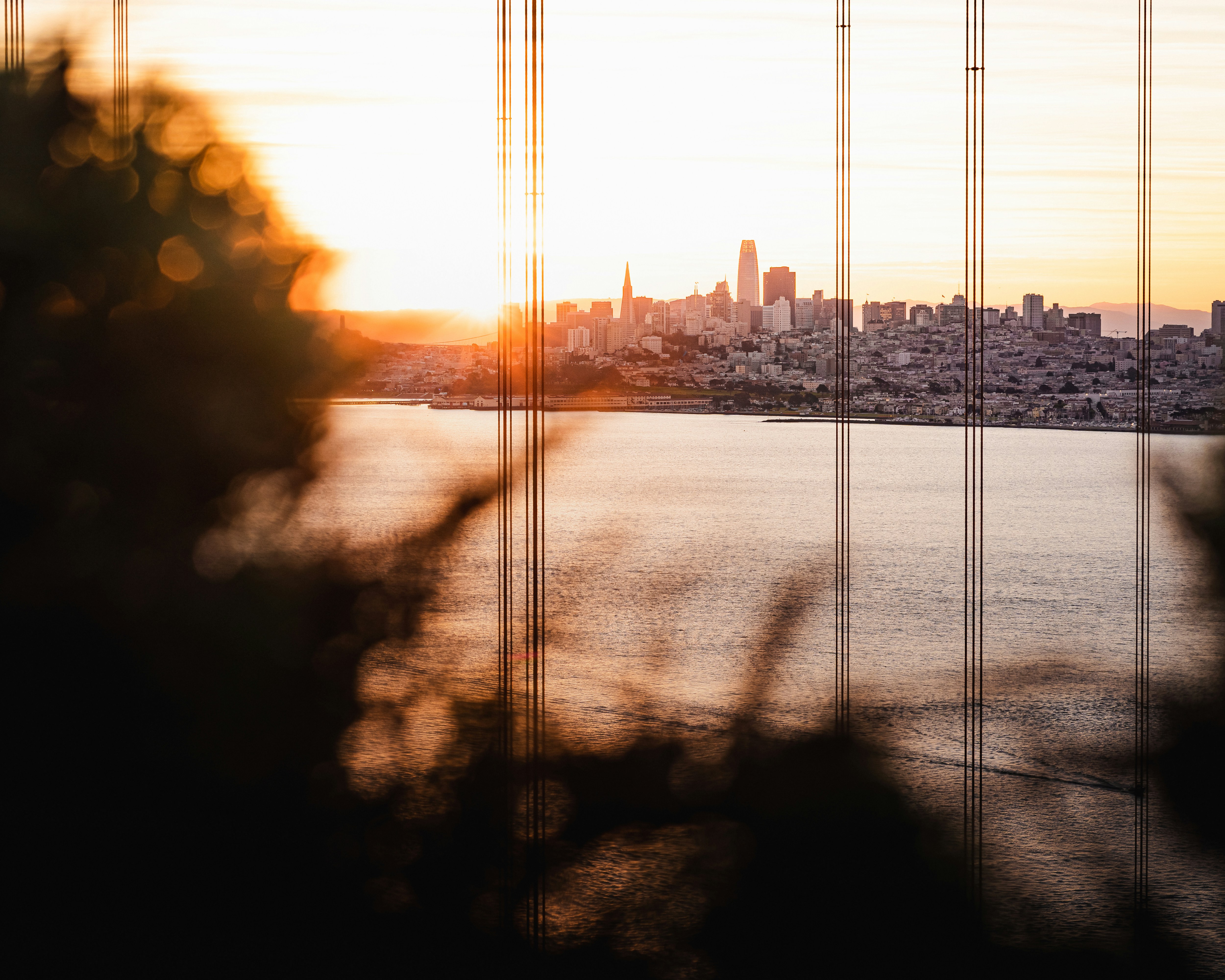 Photo by kalaniparker