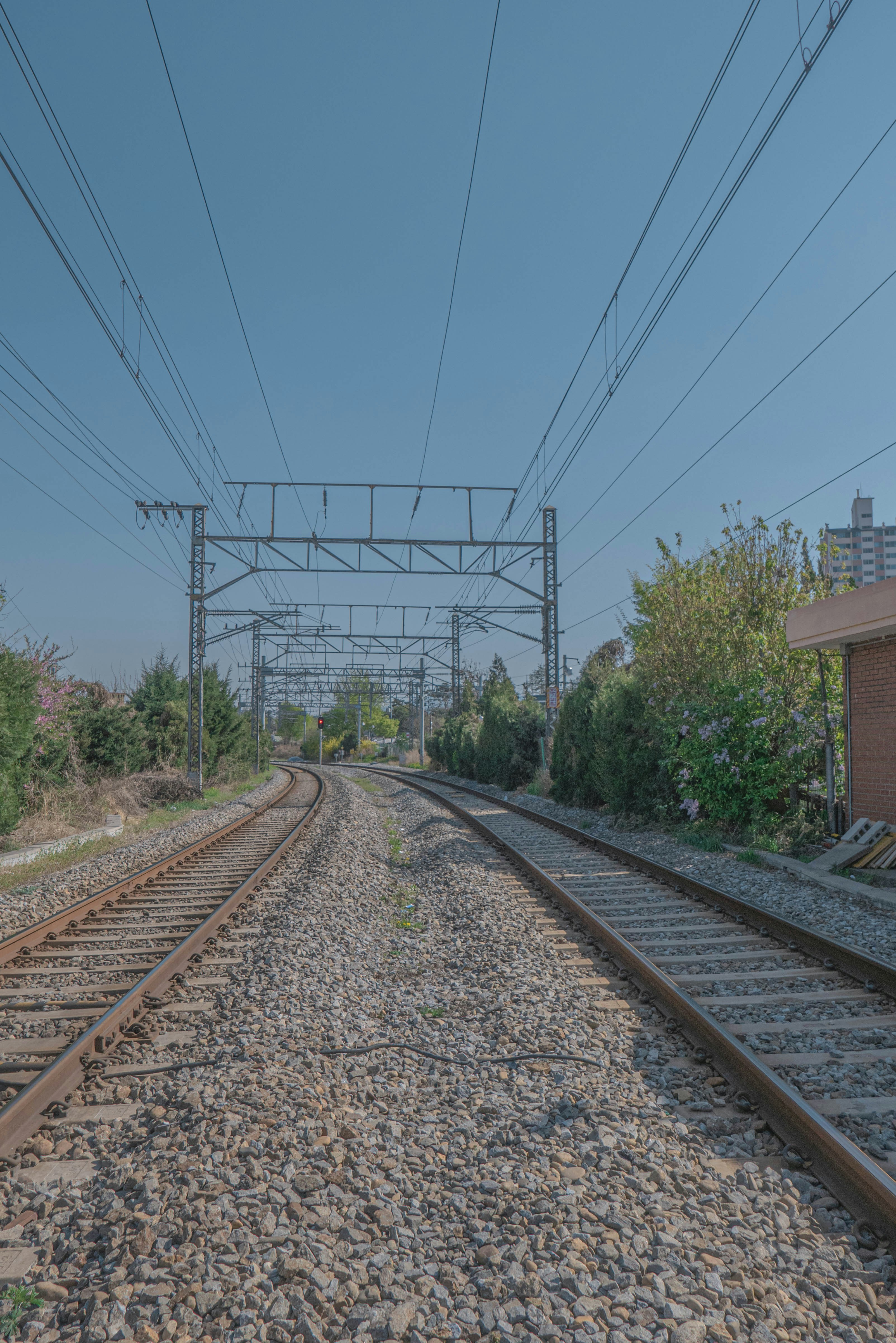 Photo by beyond_the_dream