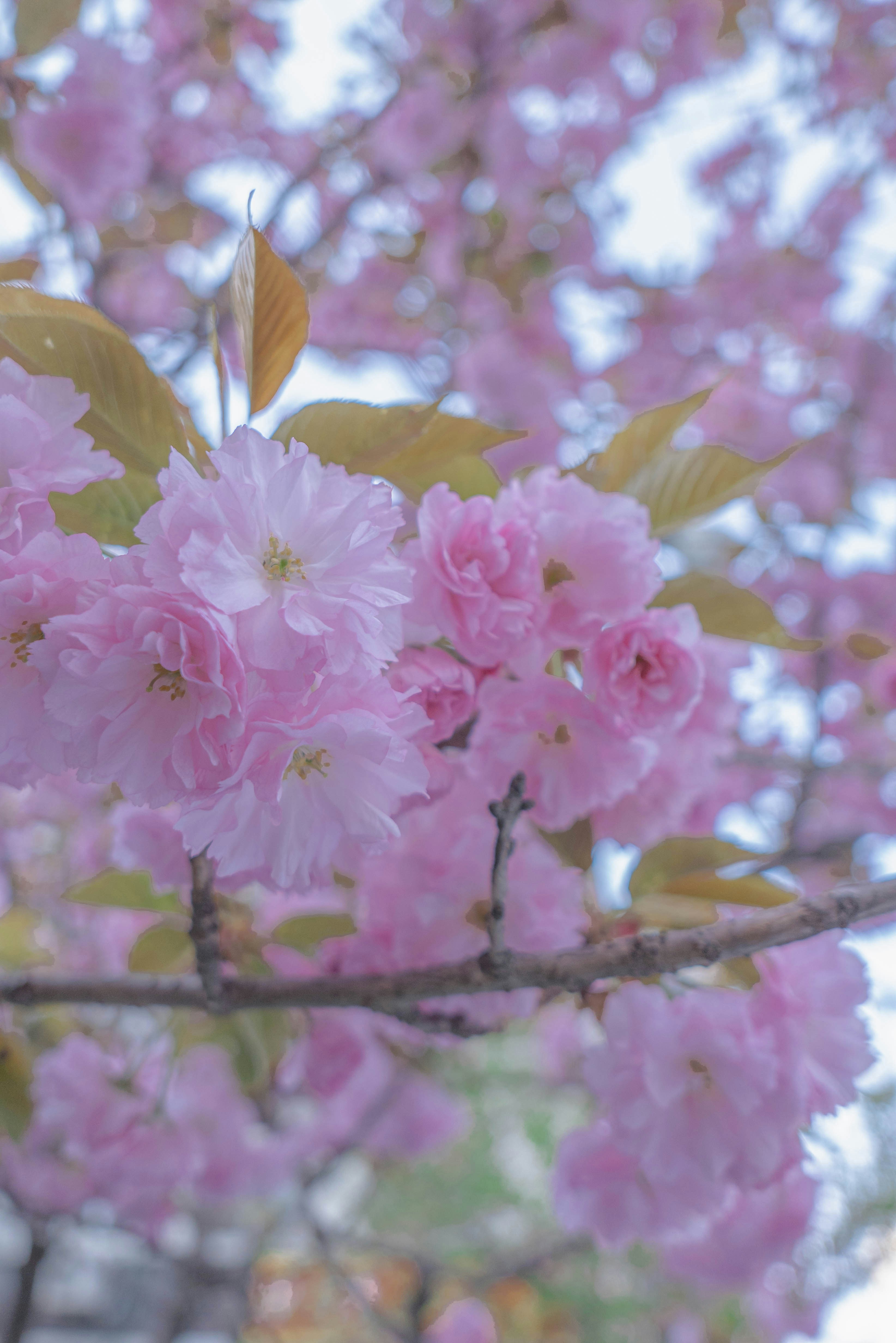 Photo by beyond_the_dream