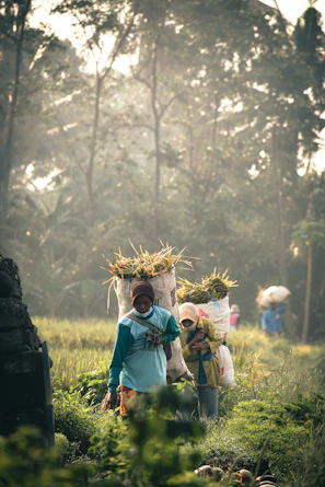 a group of people walking through a lush green forest