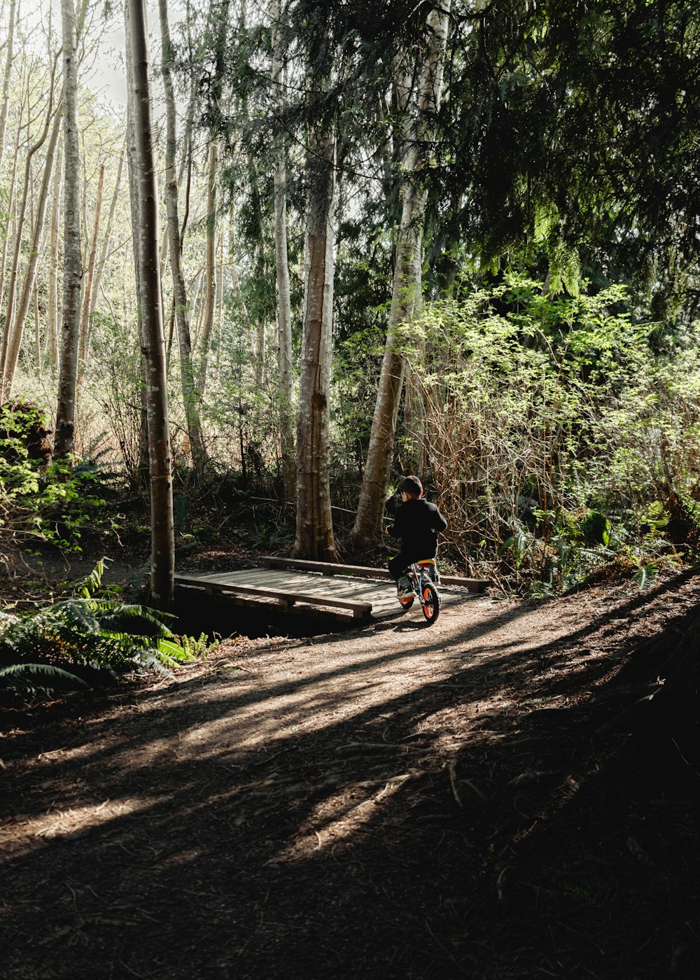 a person riding a bike on a trail in the woods