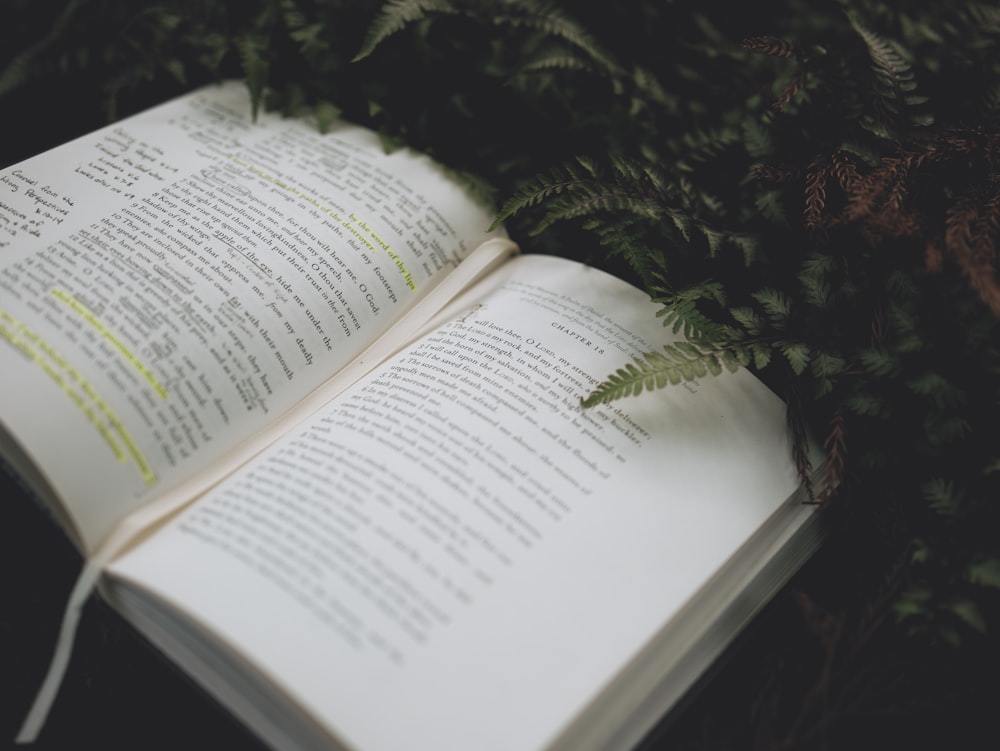 an open book sitting on top of a lush green field