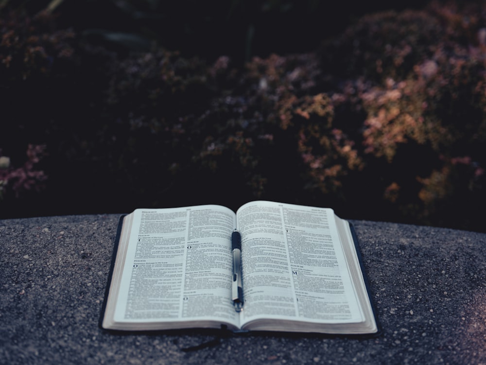 an open book sitting on top of a rock