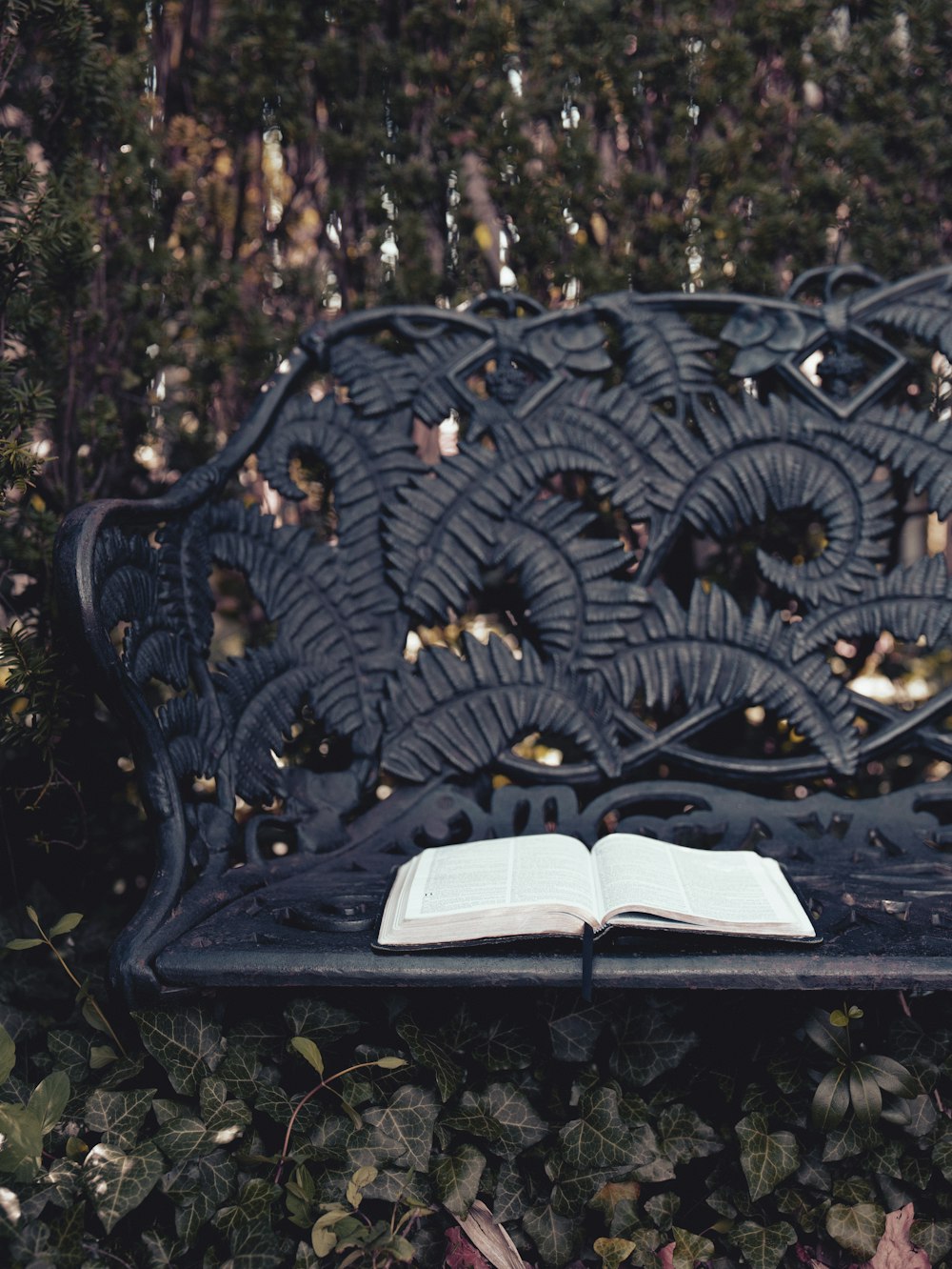 an open book sitting on top of a black bench