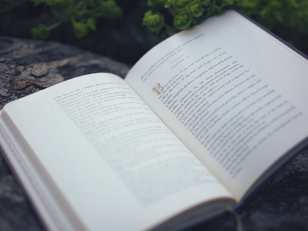 an open book sitting on top of a rock