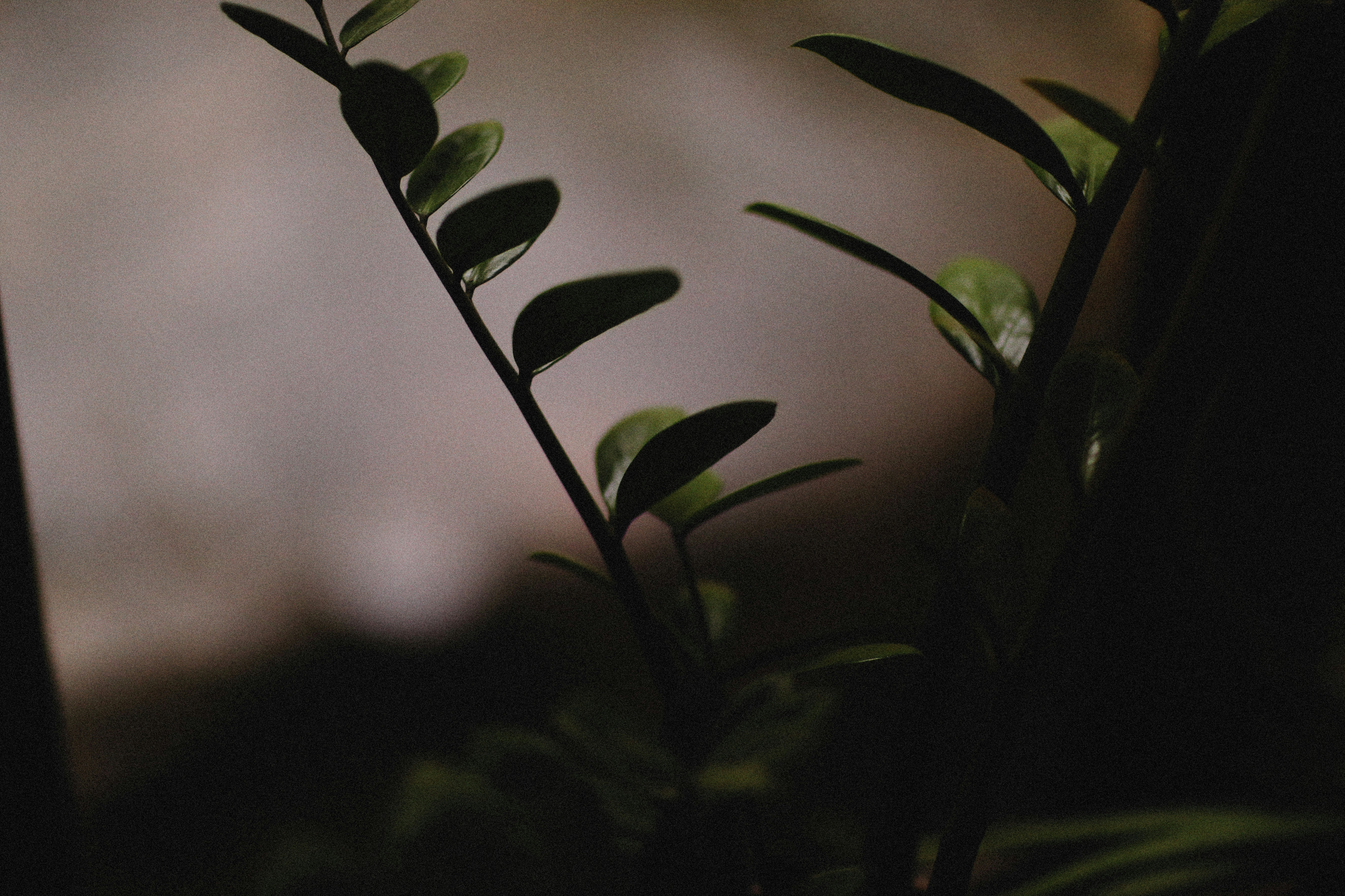 Photo by alexeydemidov