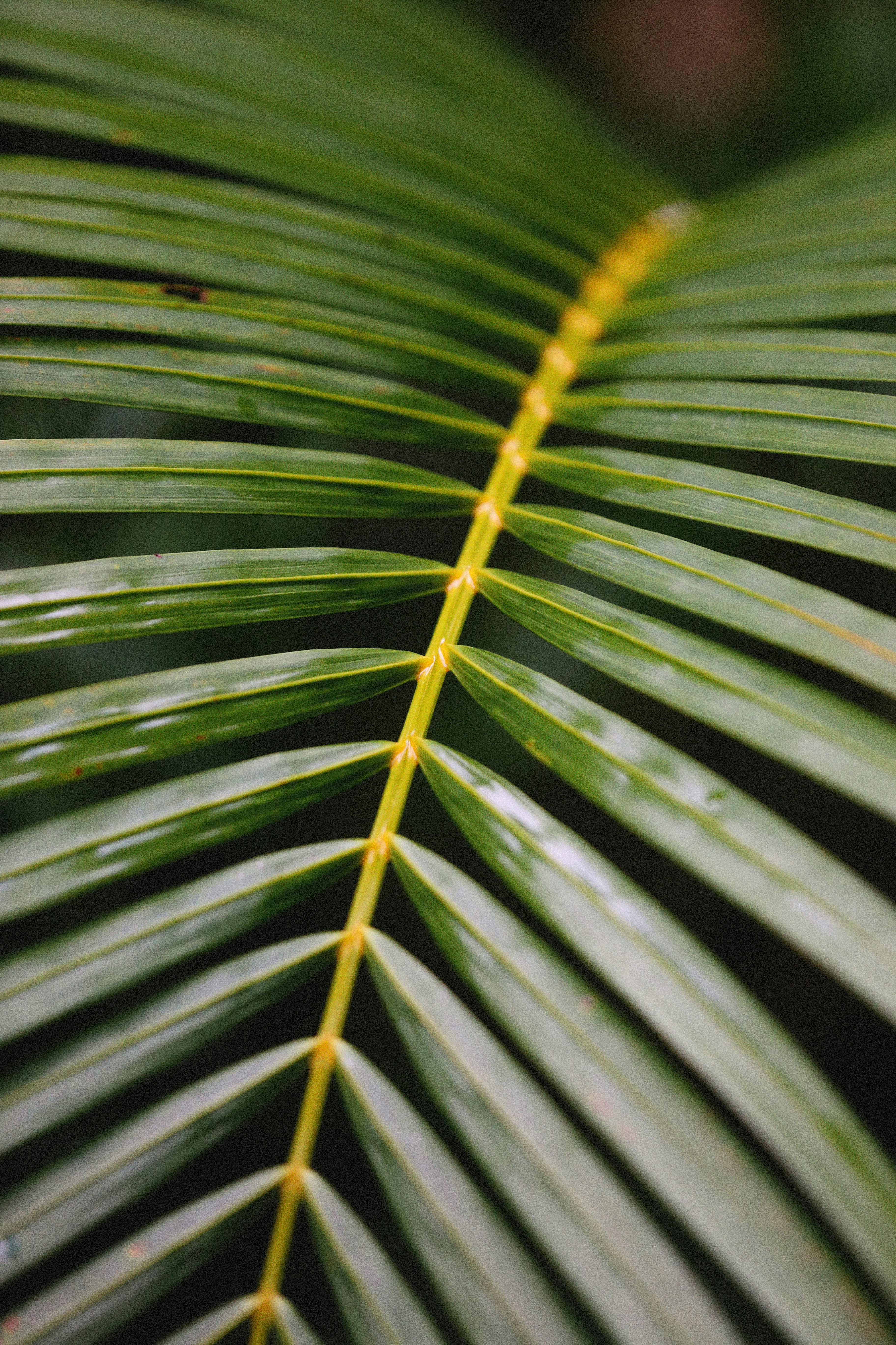 Photo by alexeydemidov