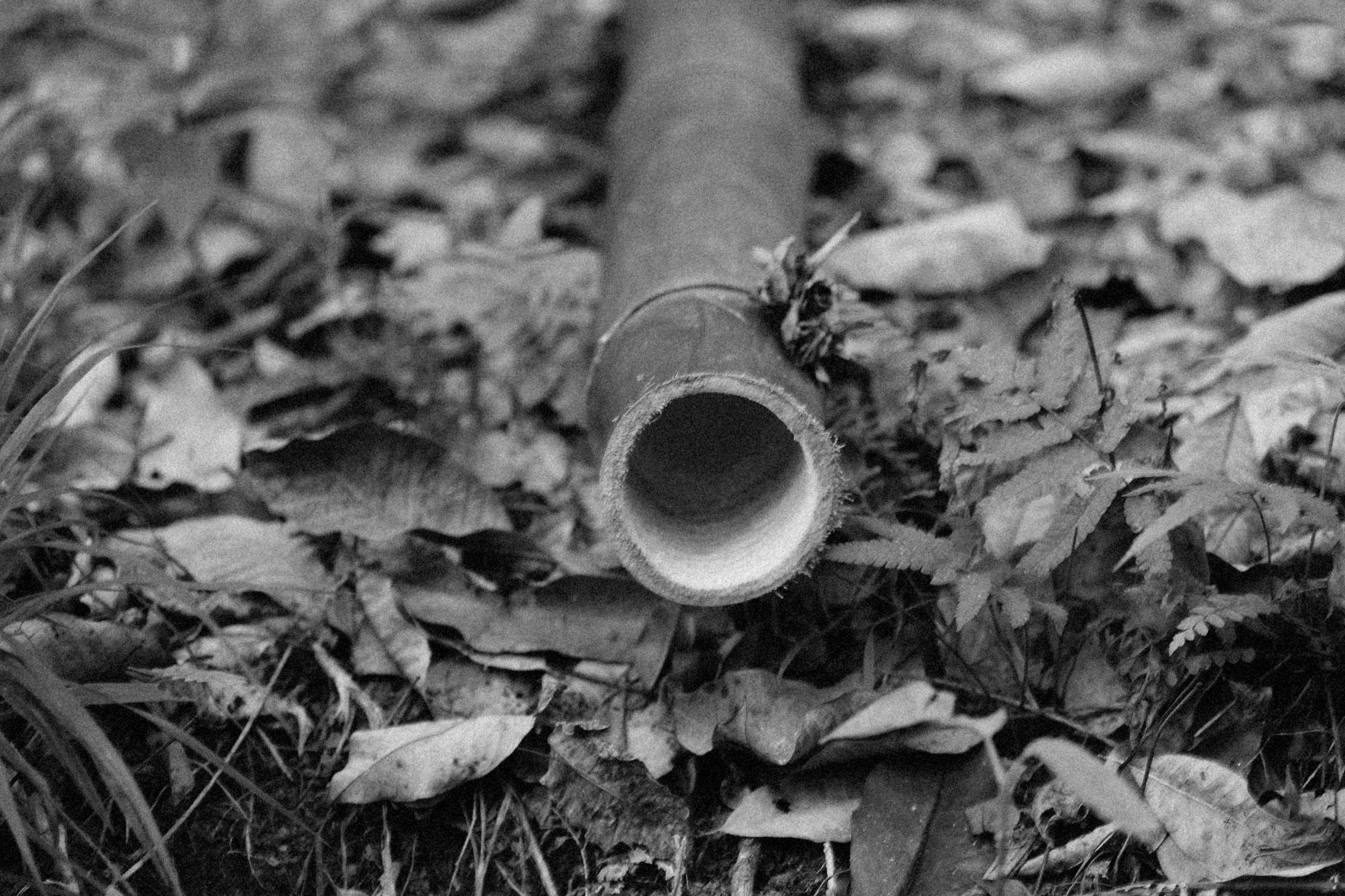 a black and white photo of a pipe laying on the ground