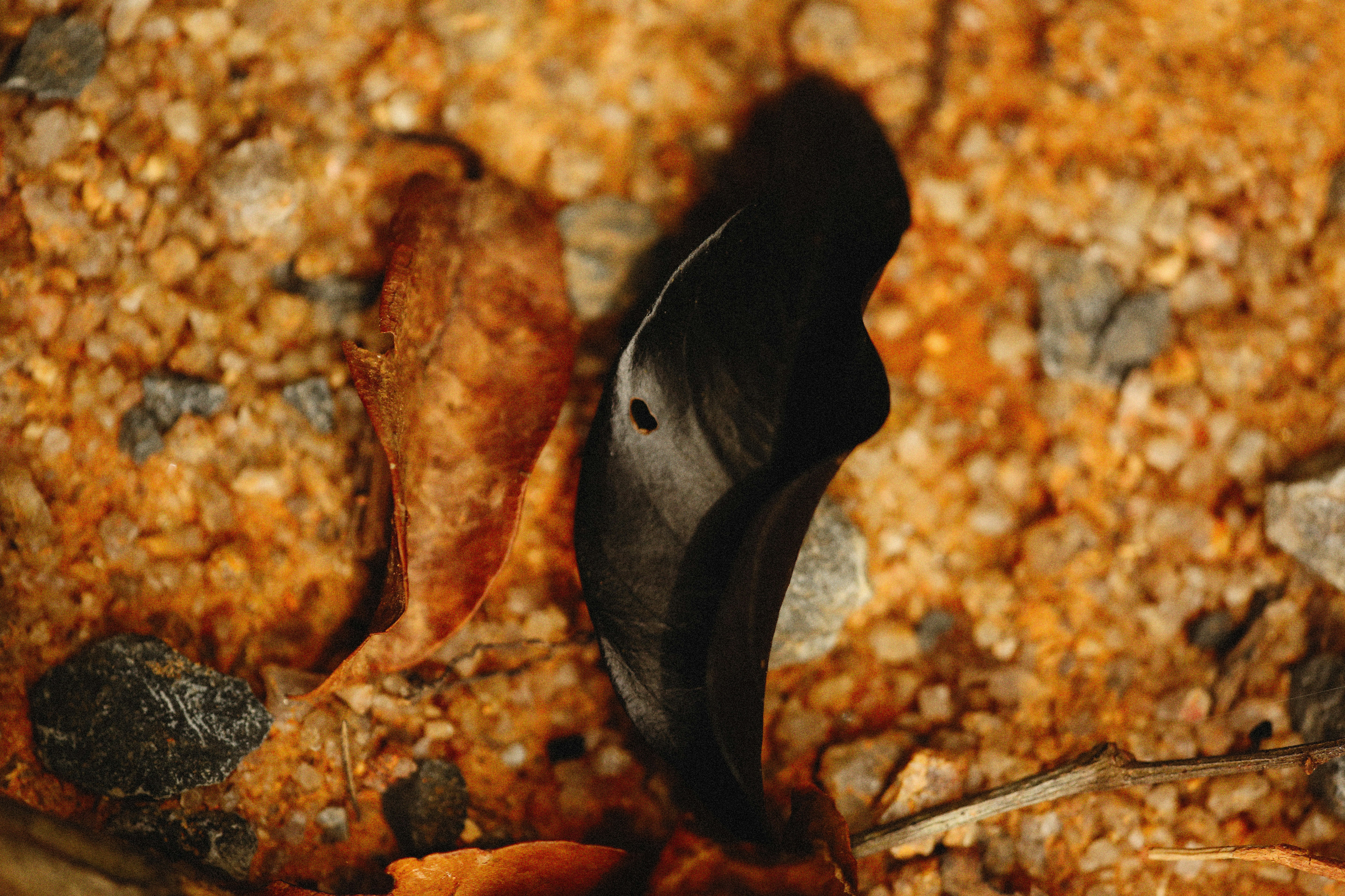 Photo by alexeydemidov