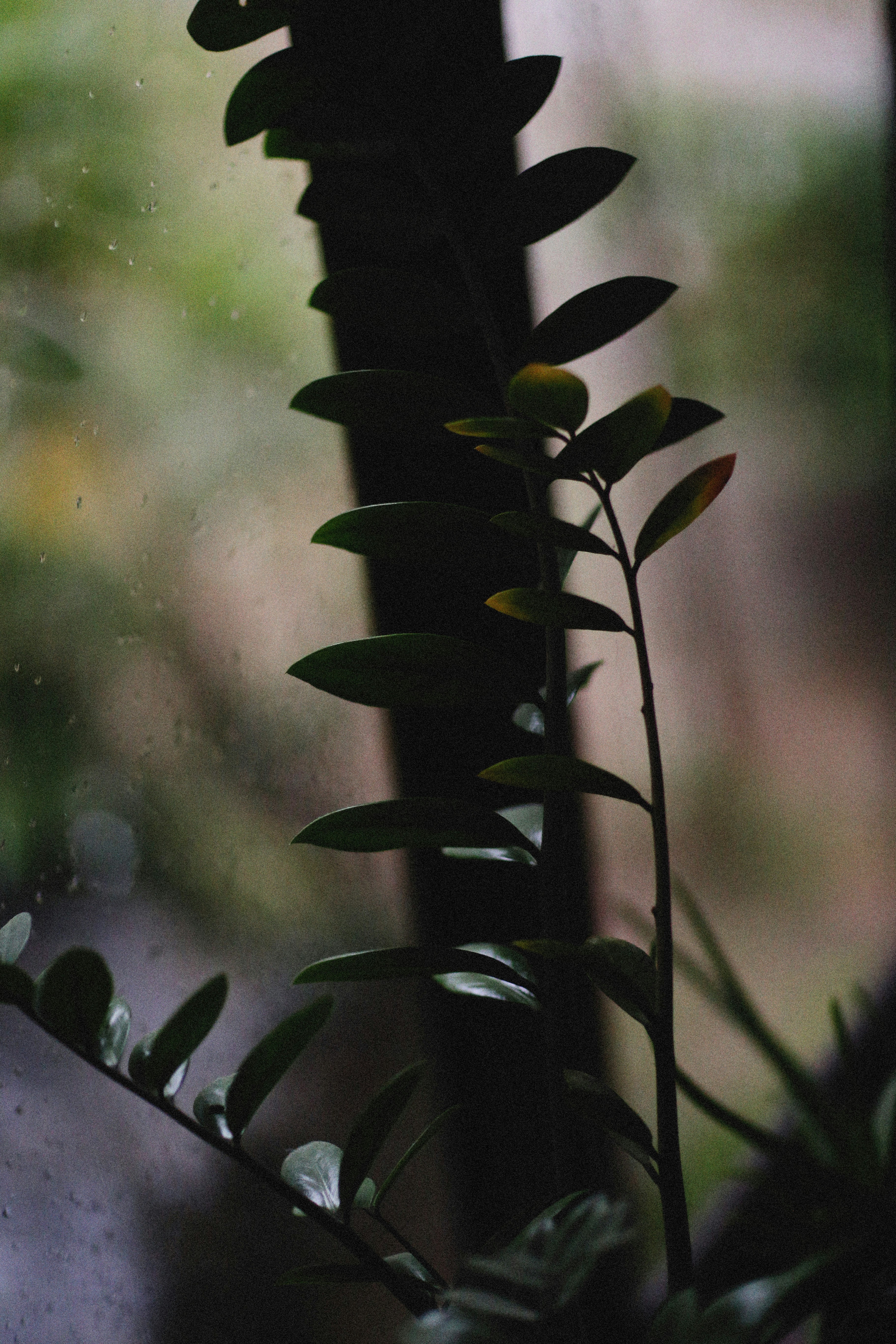 Photo by alexeydemidov