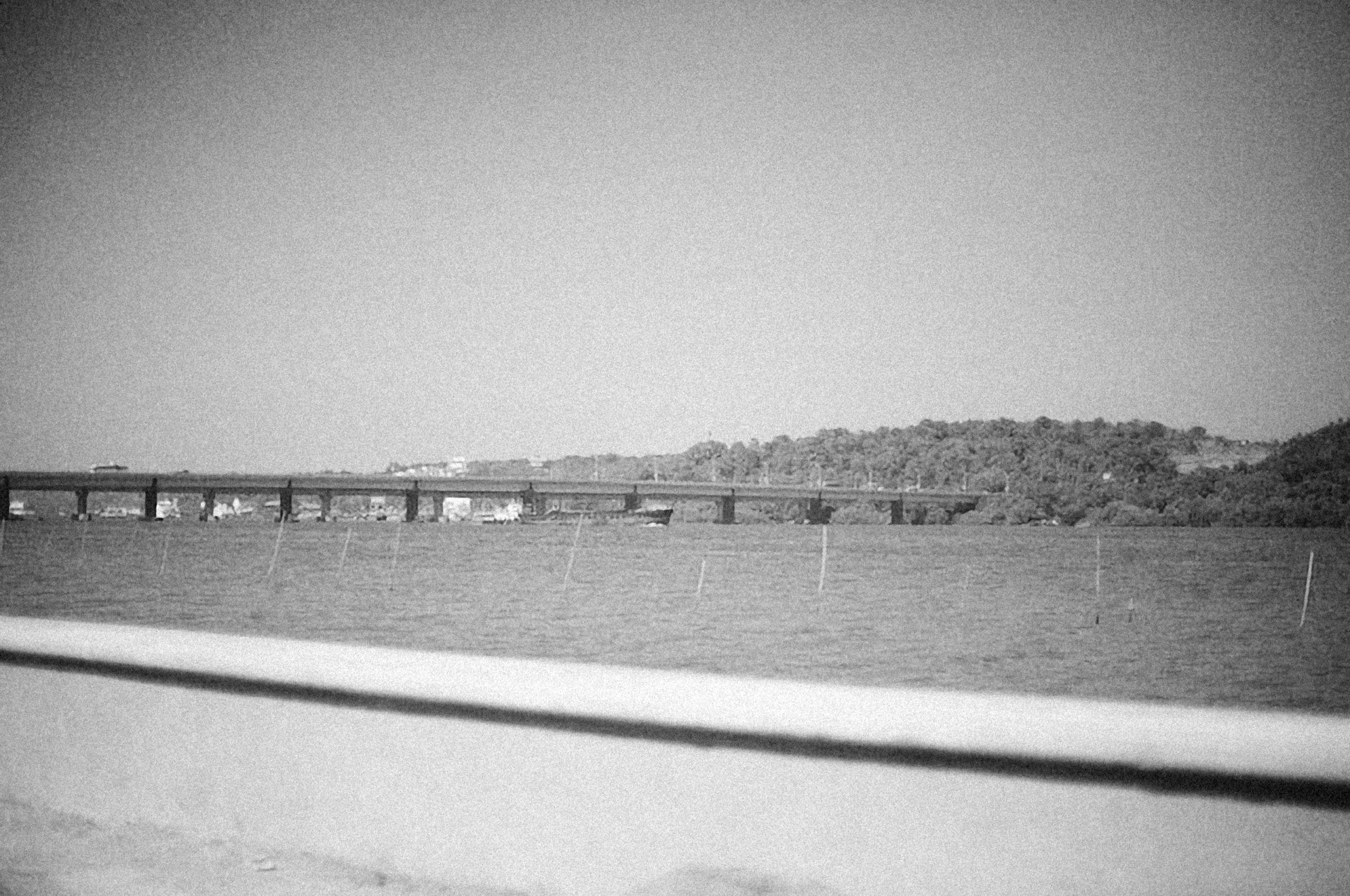 Photo by alexeydemidov