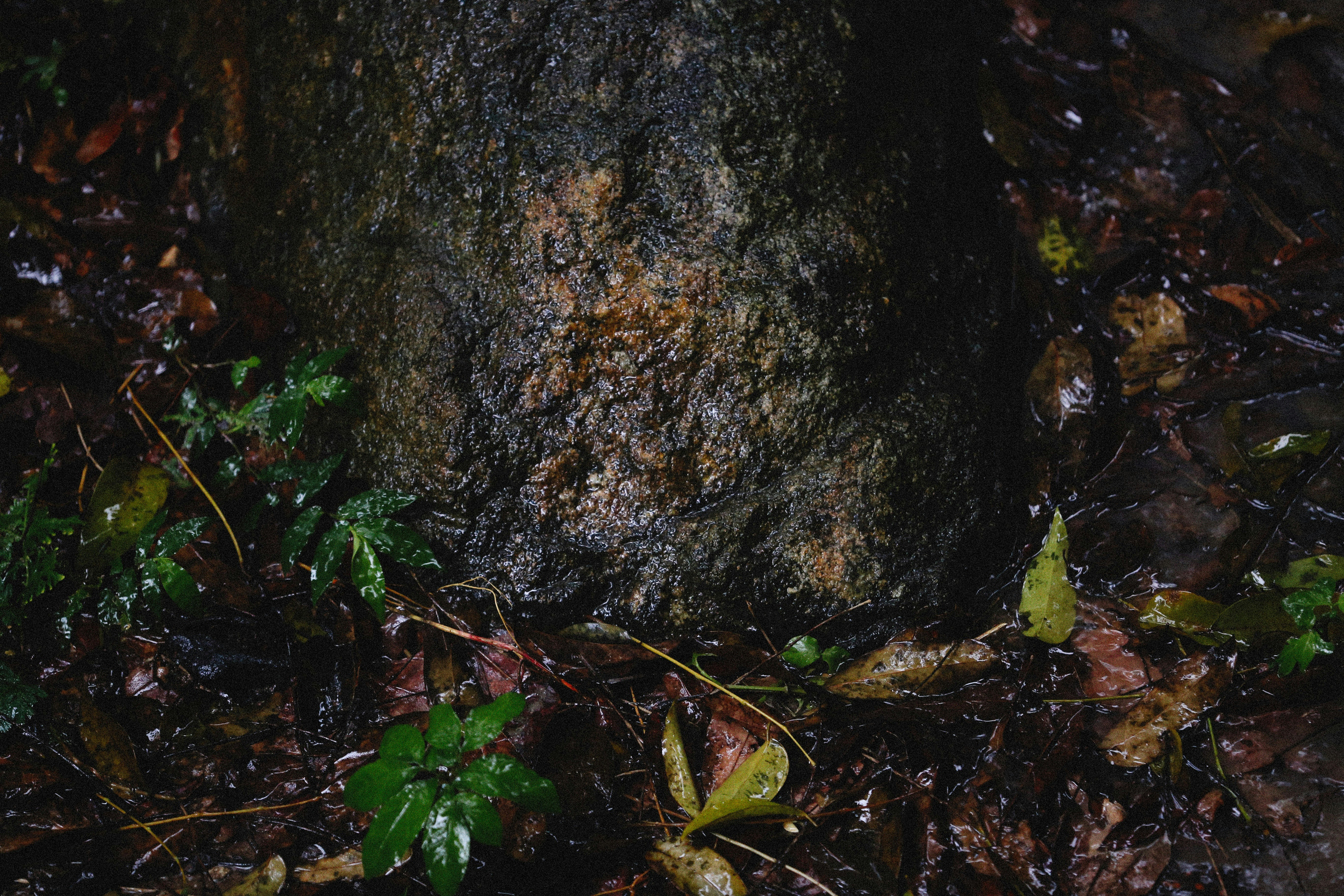 Photo by alexeydemidov