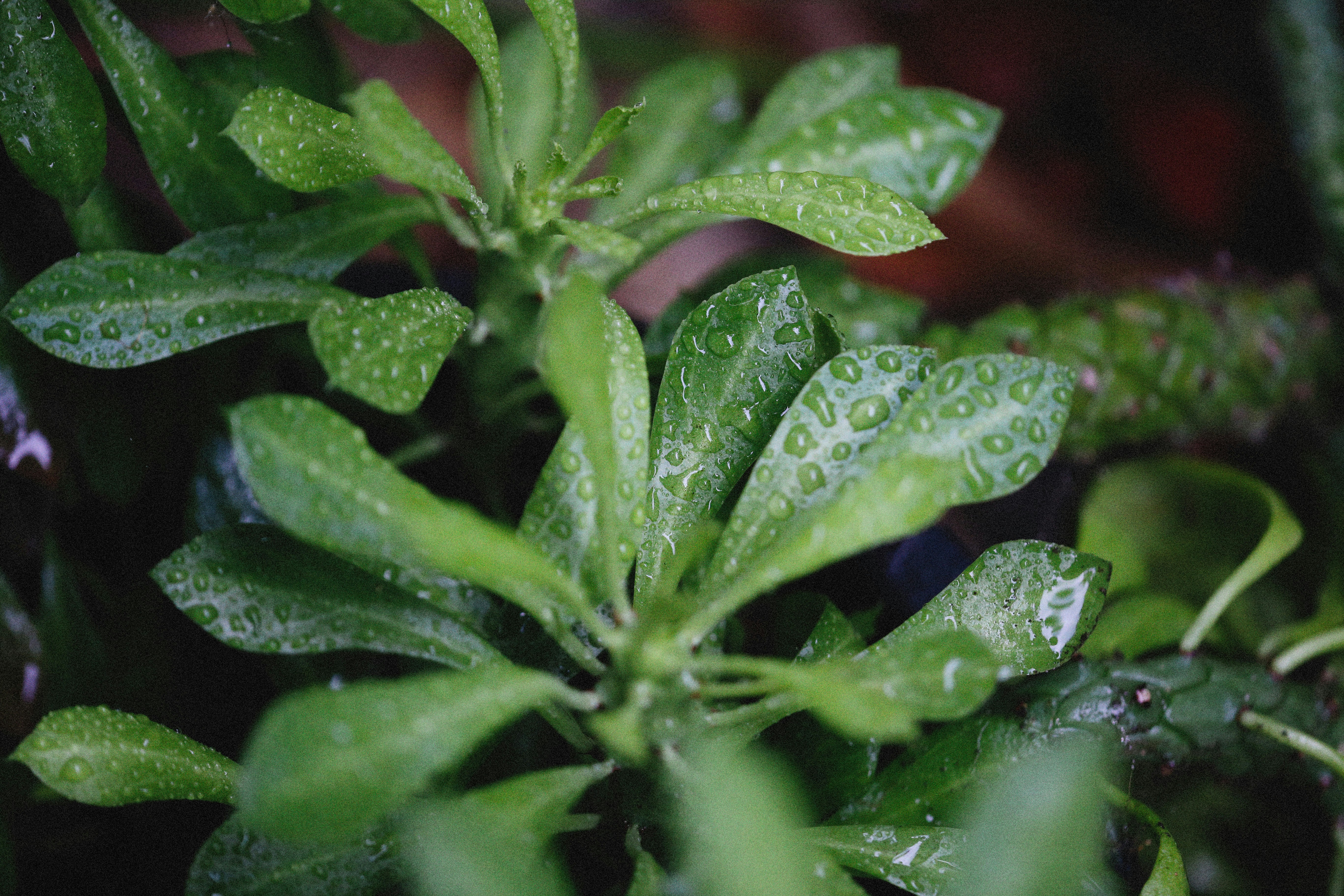 Photo by alexeydemidov