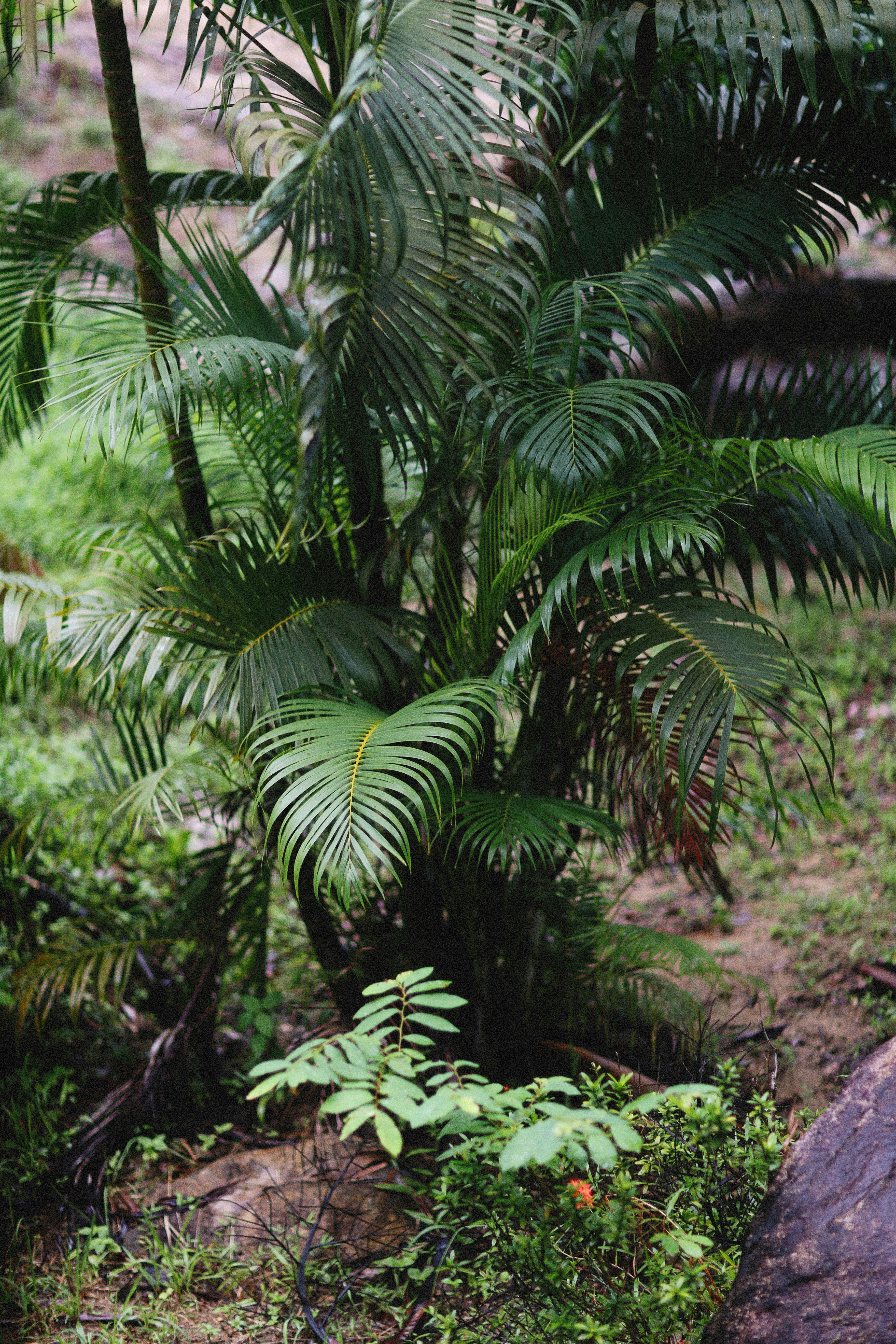 Photo by alexeydemidov