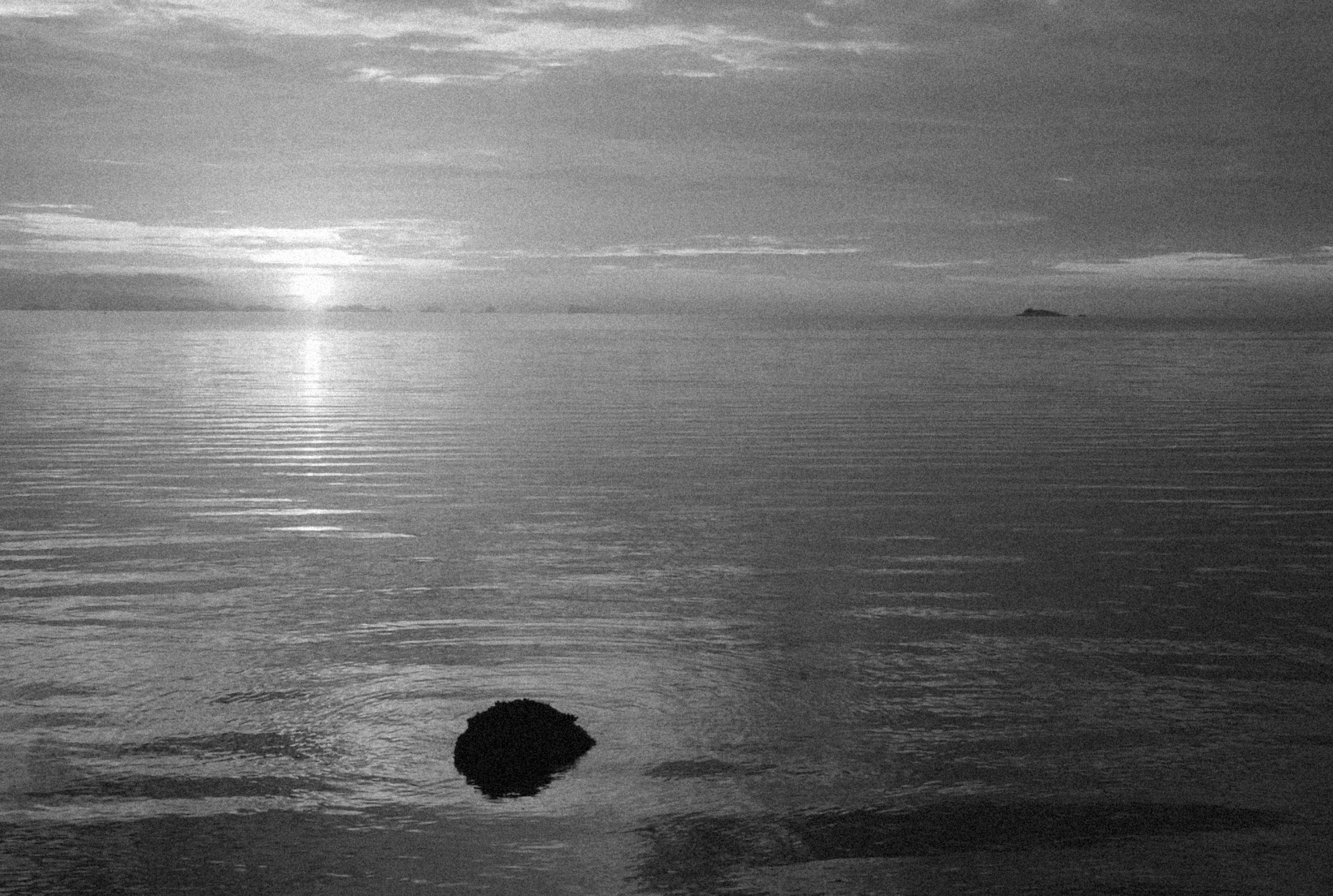 Photo by alexeydemidov