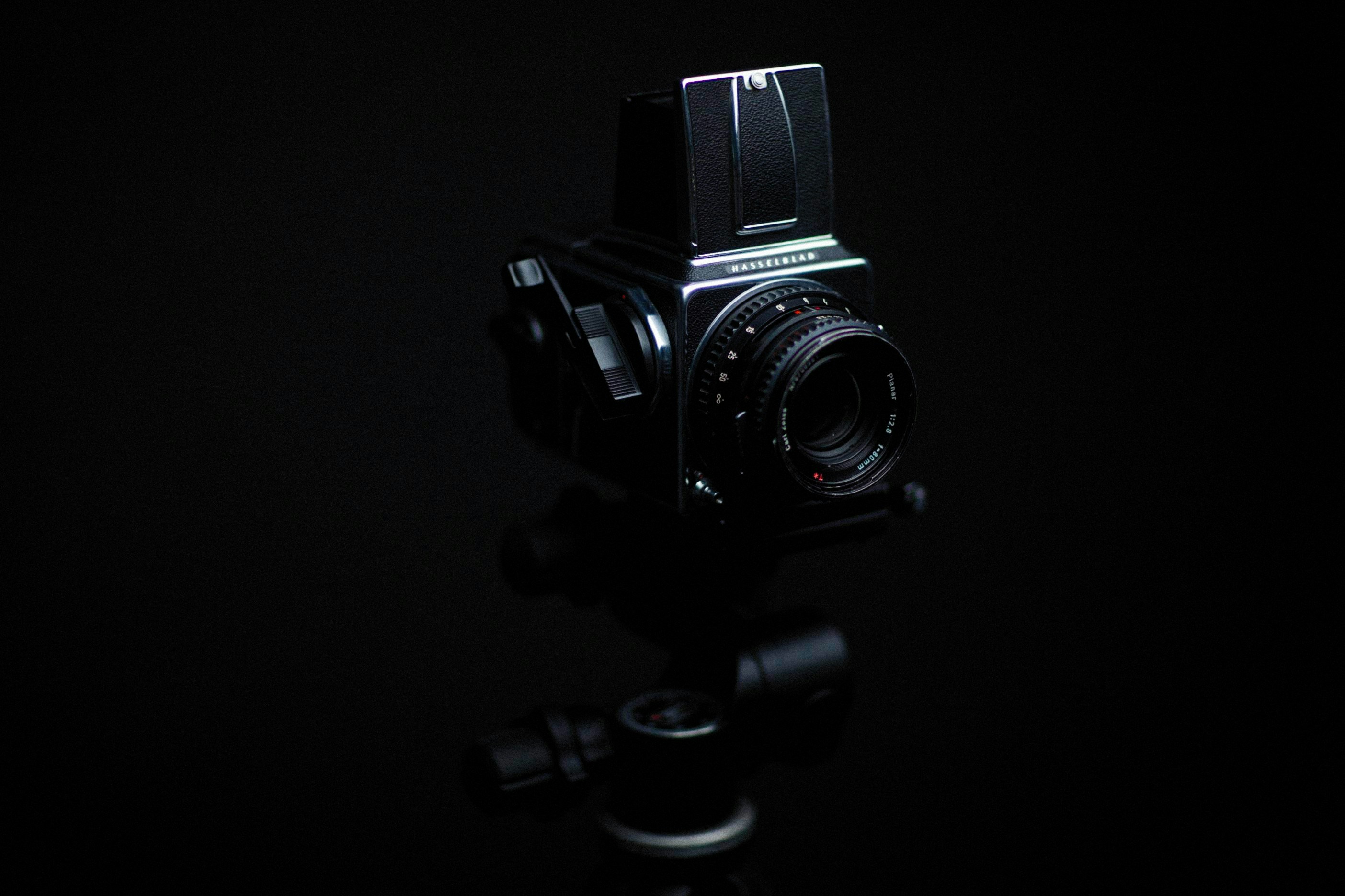 Photo by alexeydemidov