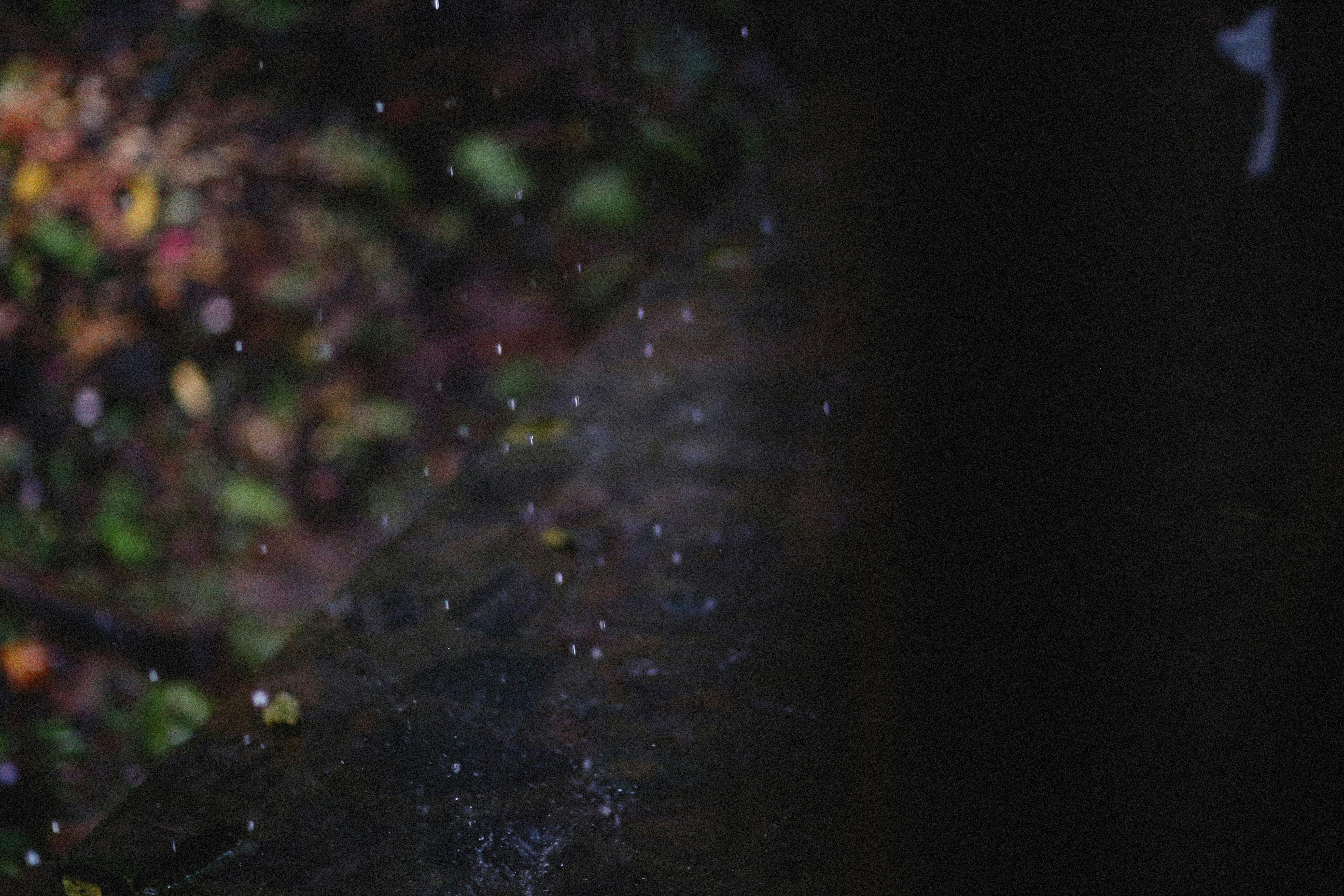 Photo by alexeydemidov