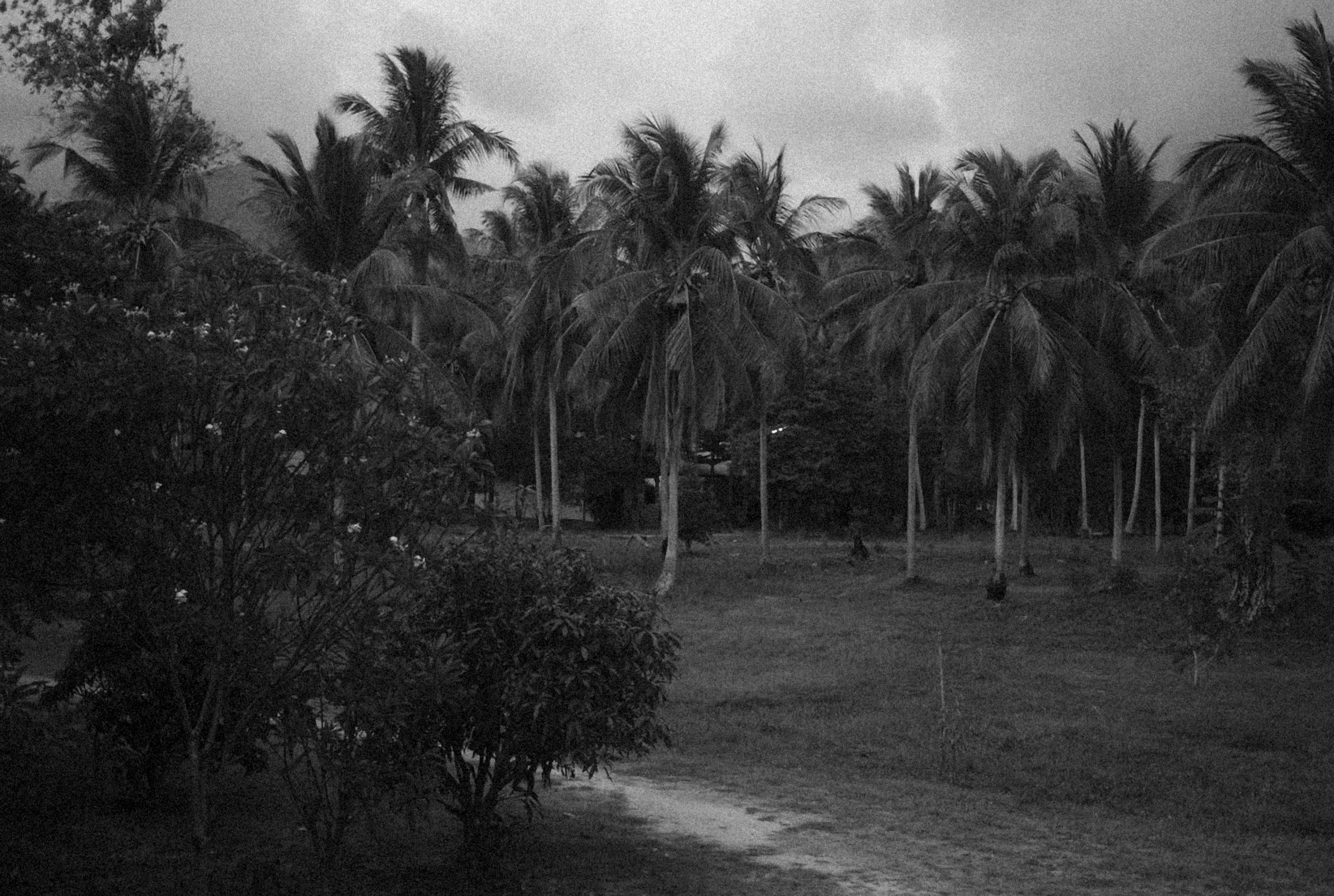 Photo by alexeydemidov