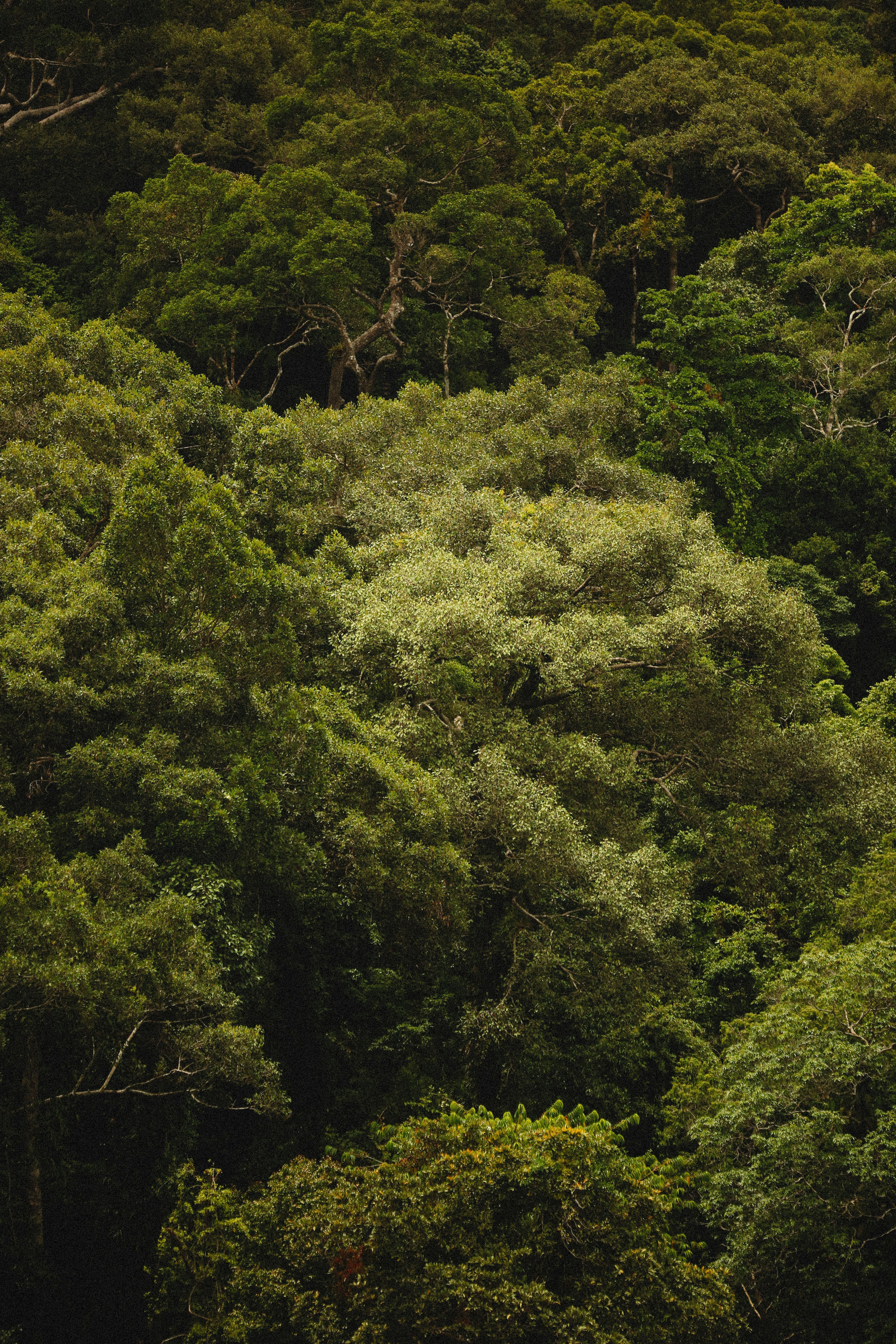 Photo by alexeydemidov