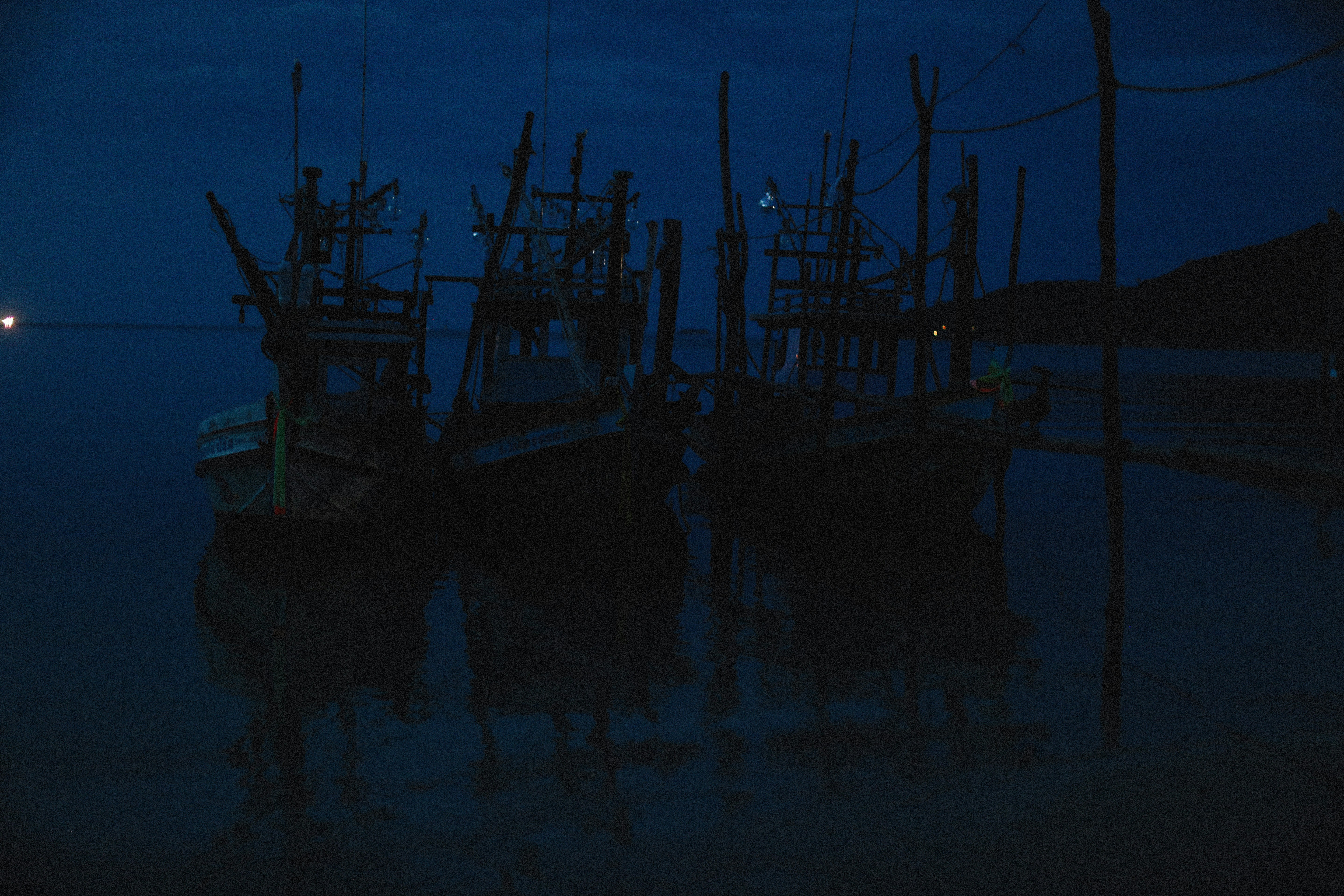 Photo by alexeydemidov