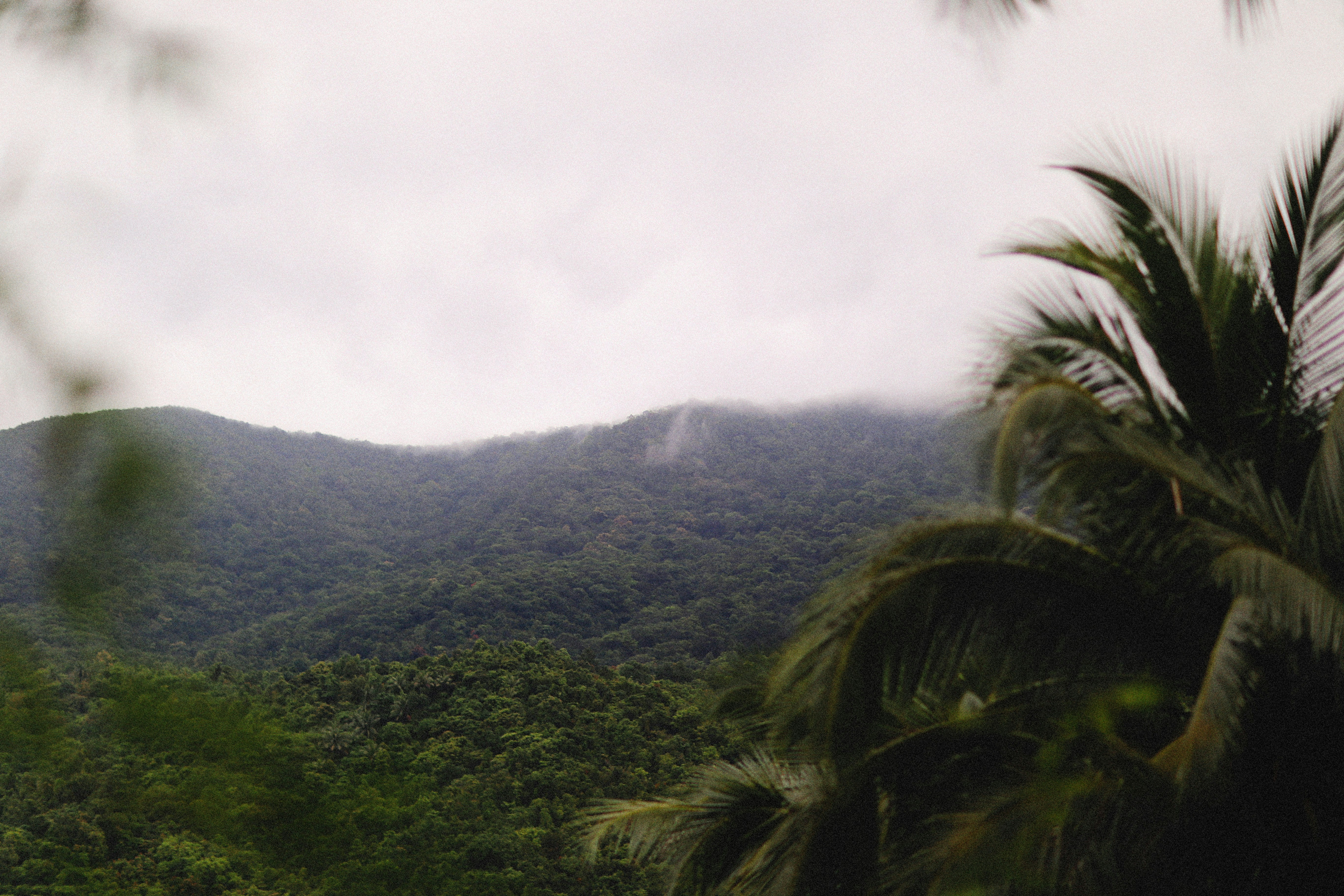 Photo by alexeydemidov