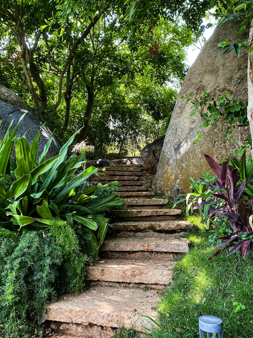 a bunch of steps that are next to some trees