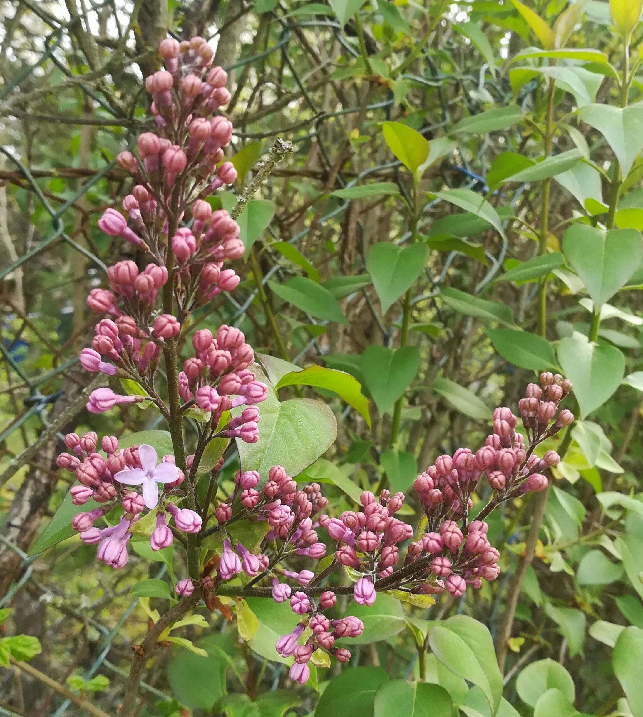 Photo by schreibmich