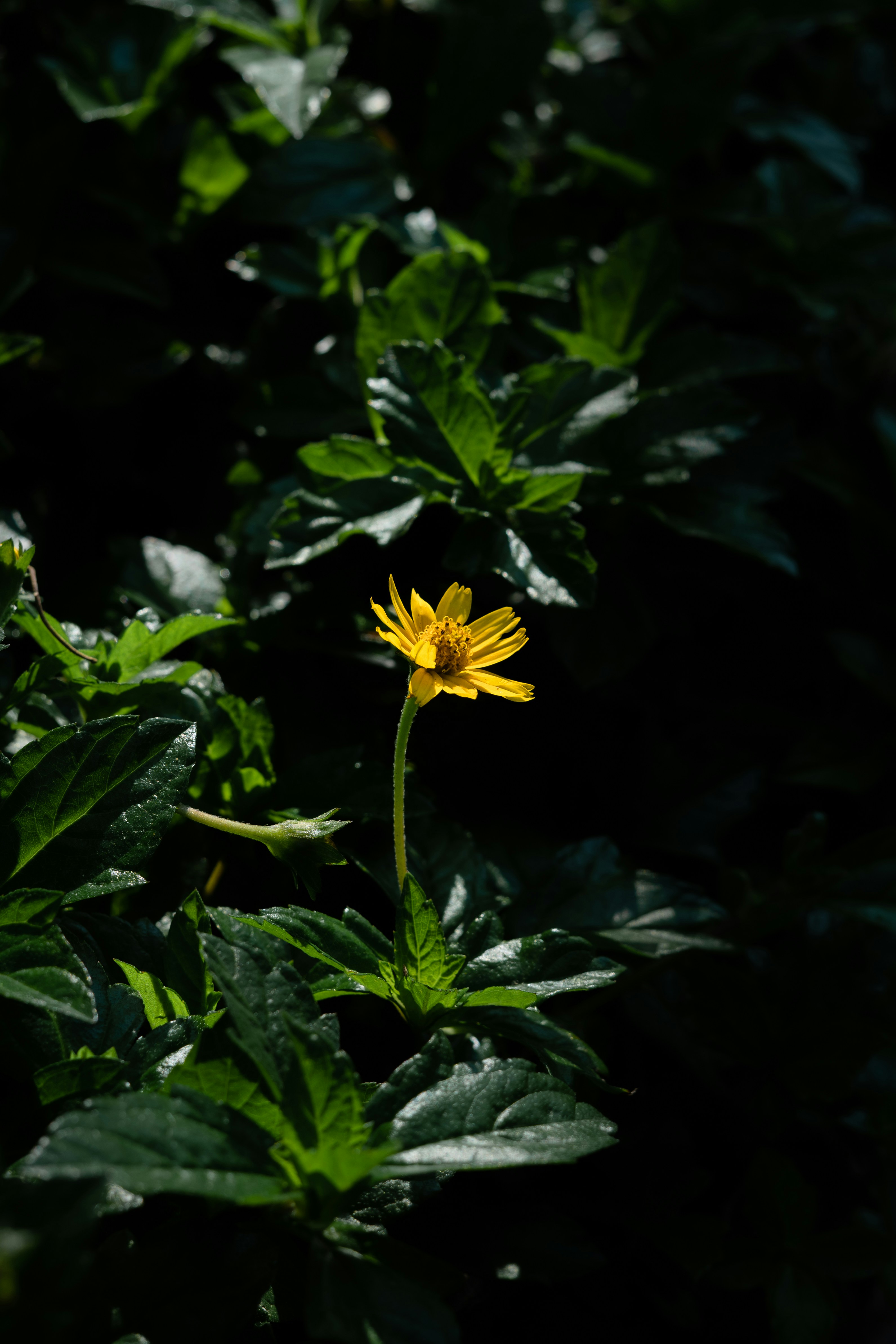 Photo by frommylenstoyourscreen