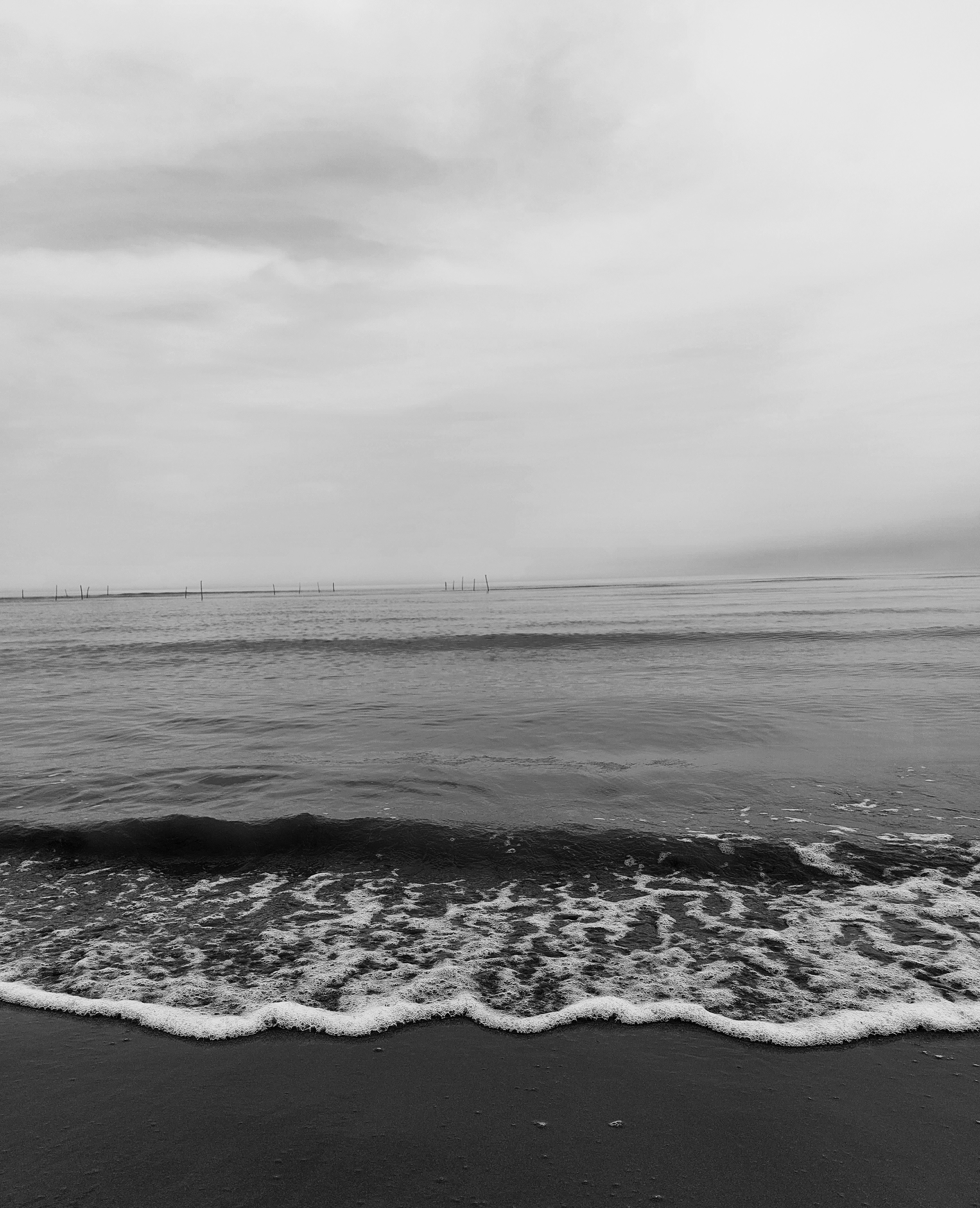 Photo by faridbekran